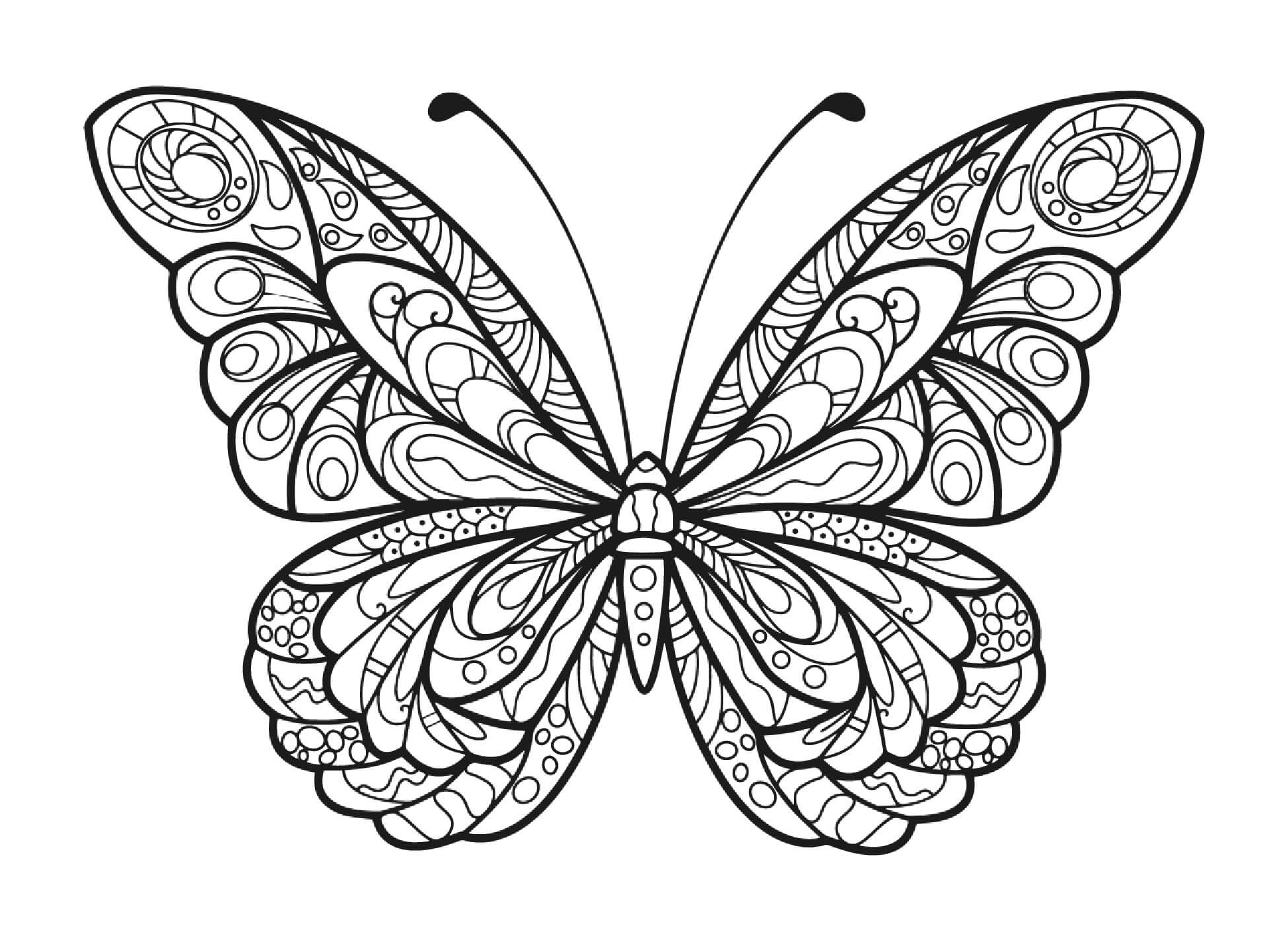 Mandala Butterfly Coloring Page - Sheet 1 Mandalas