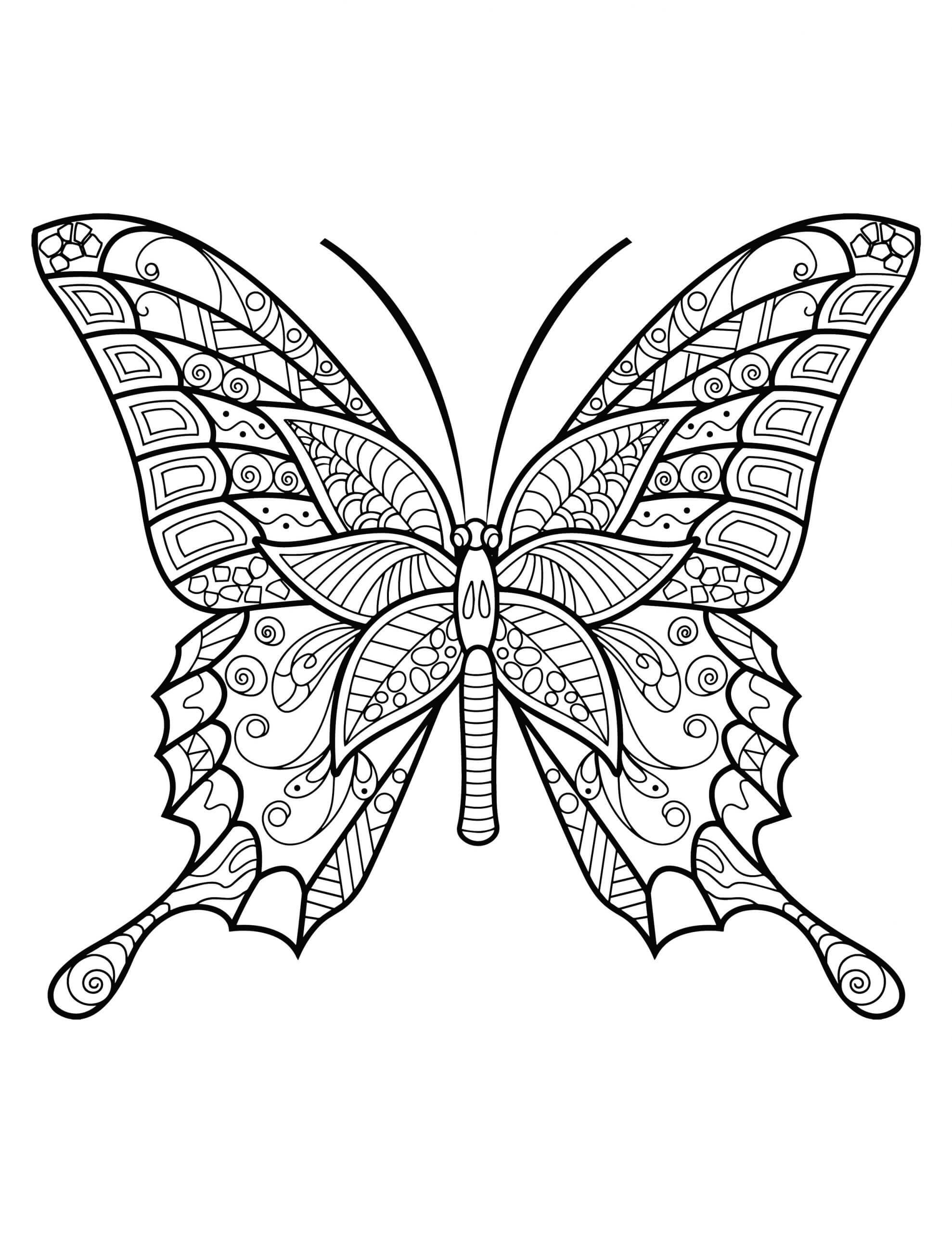 Mandala Butterfly Coloring Page - Sheet 2 Mandalas