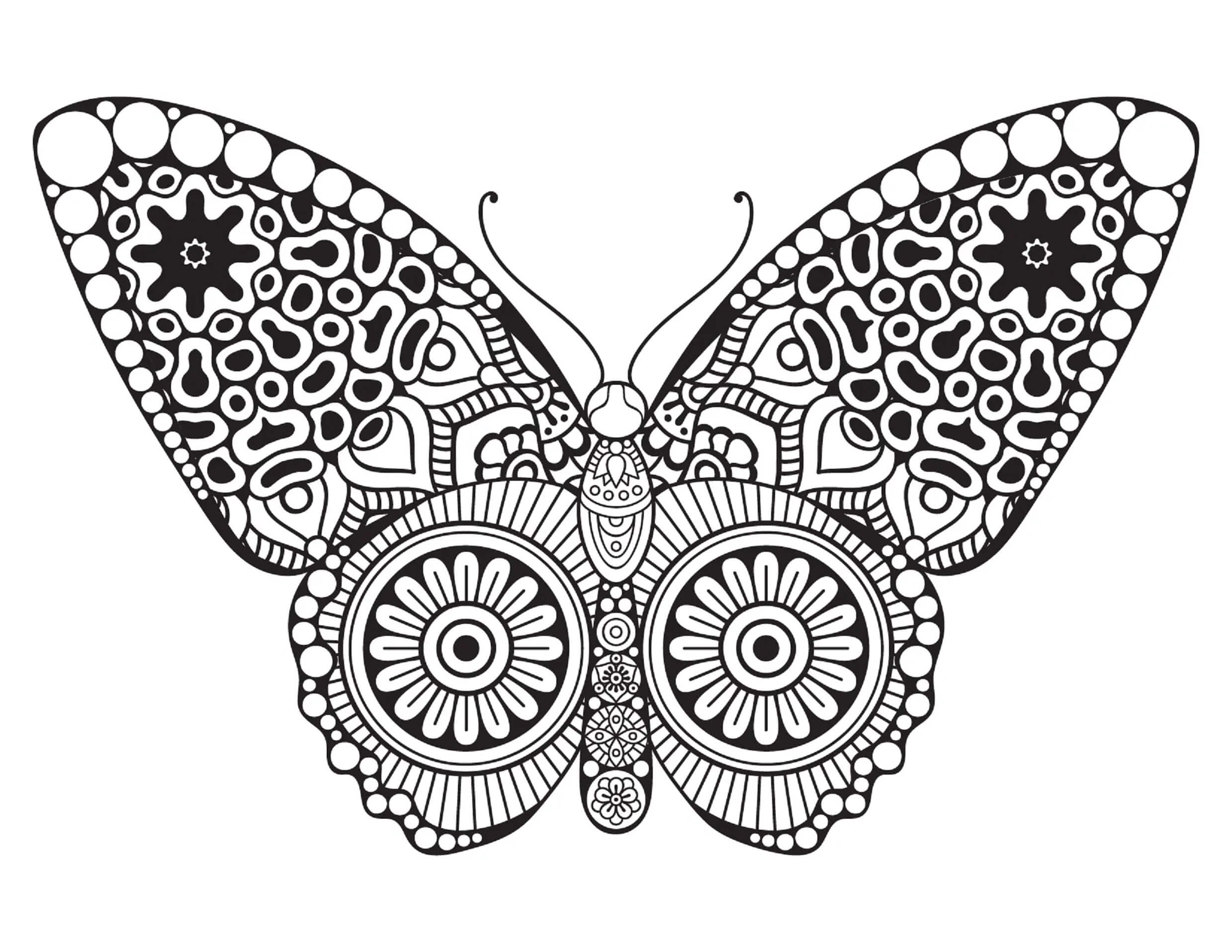 Mandala Butterfly Coloring Page - Sheet 3 Mandalas
