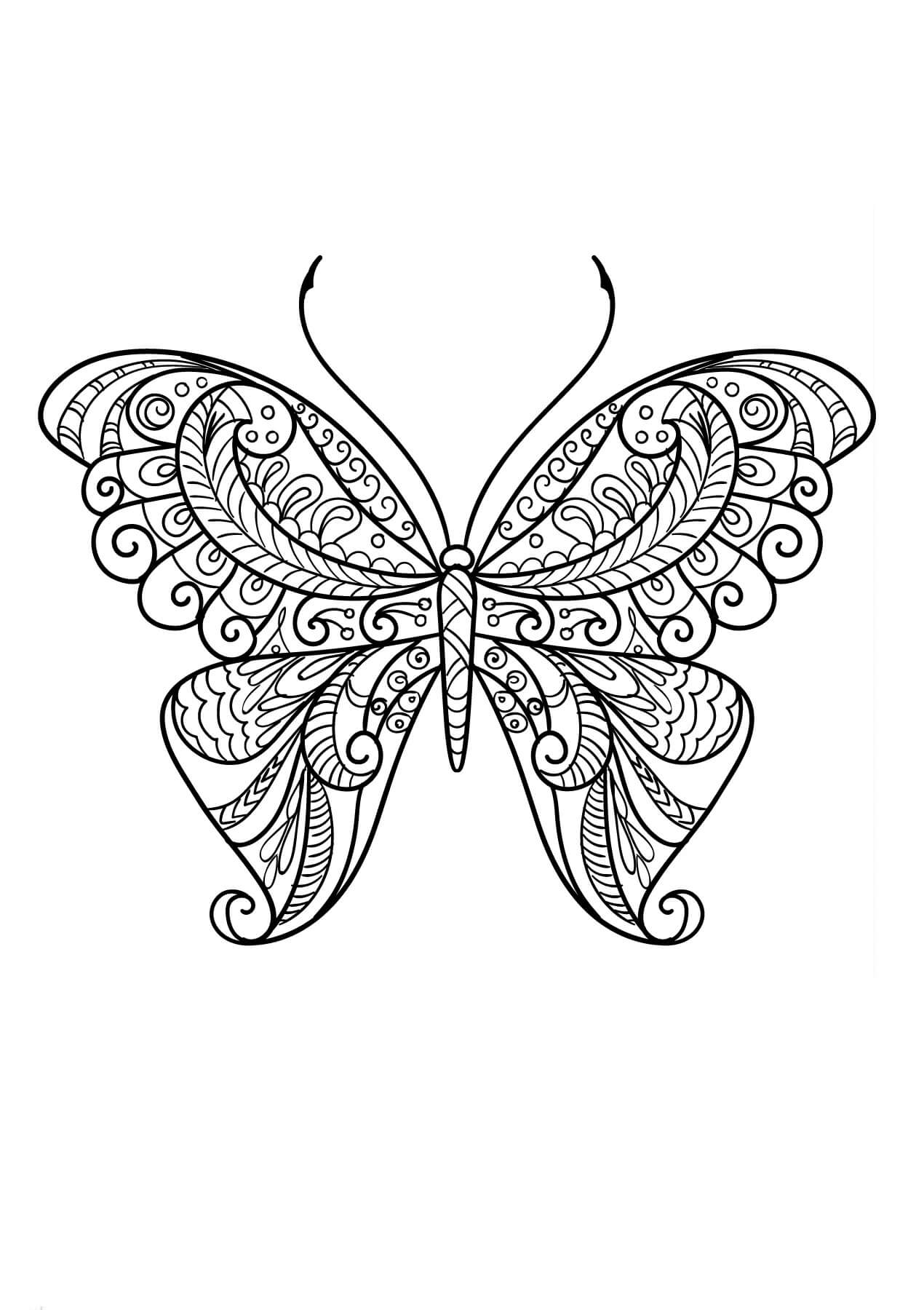 Mandala Butterfly Coloring Page - Sheet 5 Mandalas