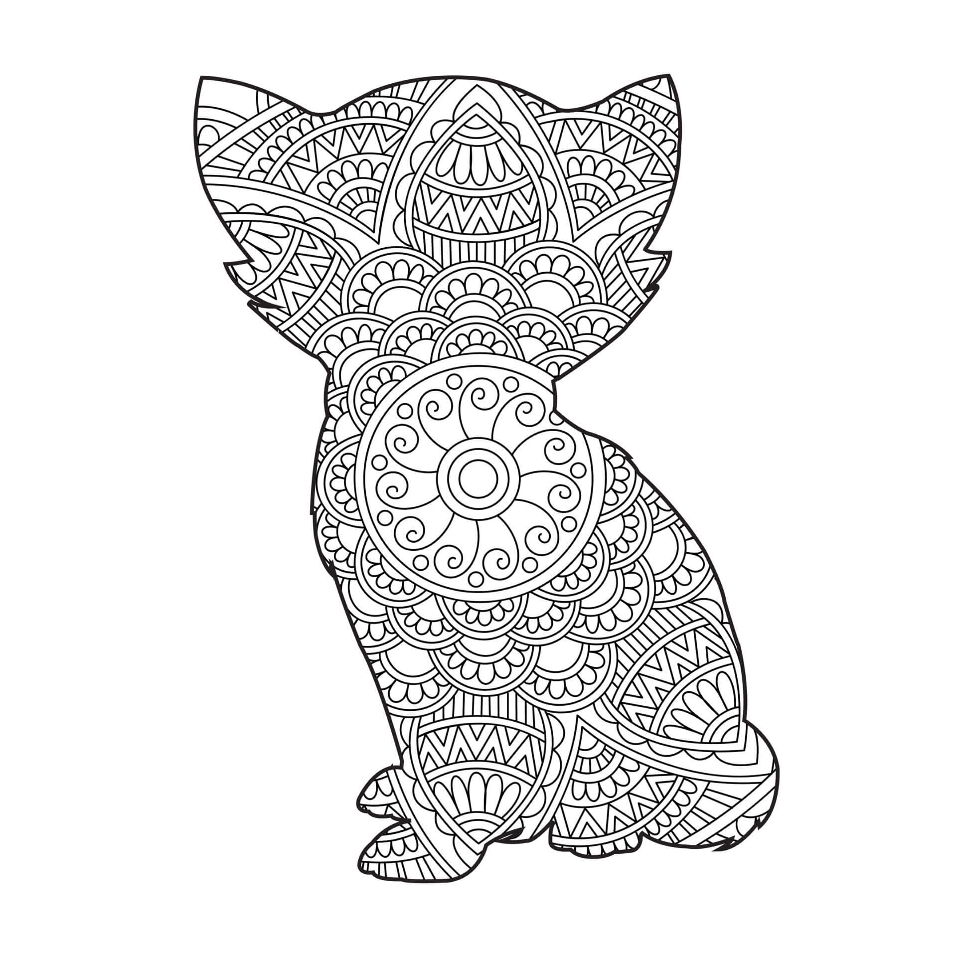 Mandala Cat Coloring Page – Sheet 14 - Download, Print Now!