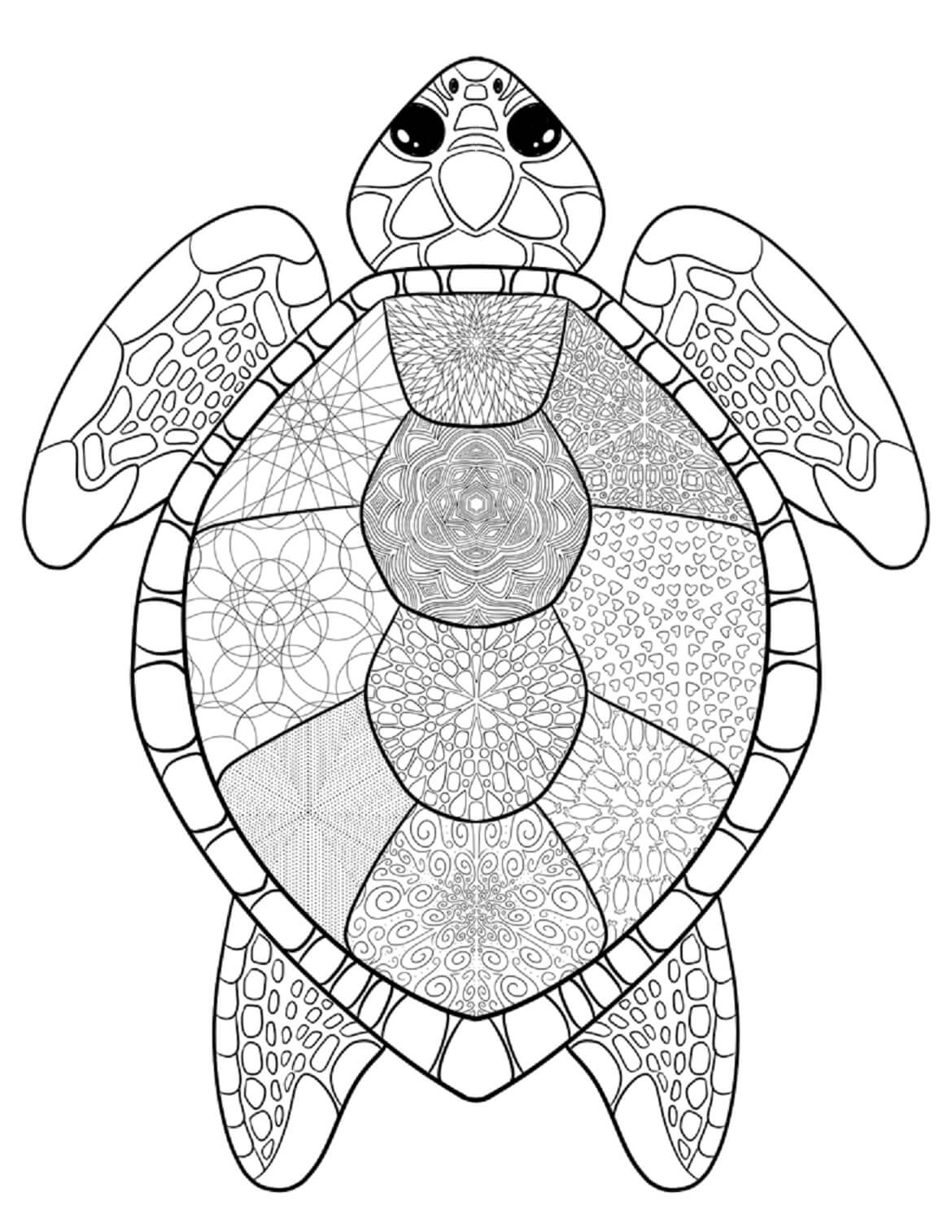 Mandala Cute Turtle Coloring Page Mandalas
