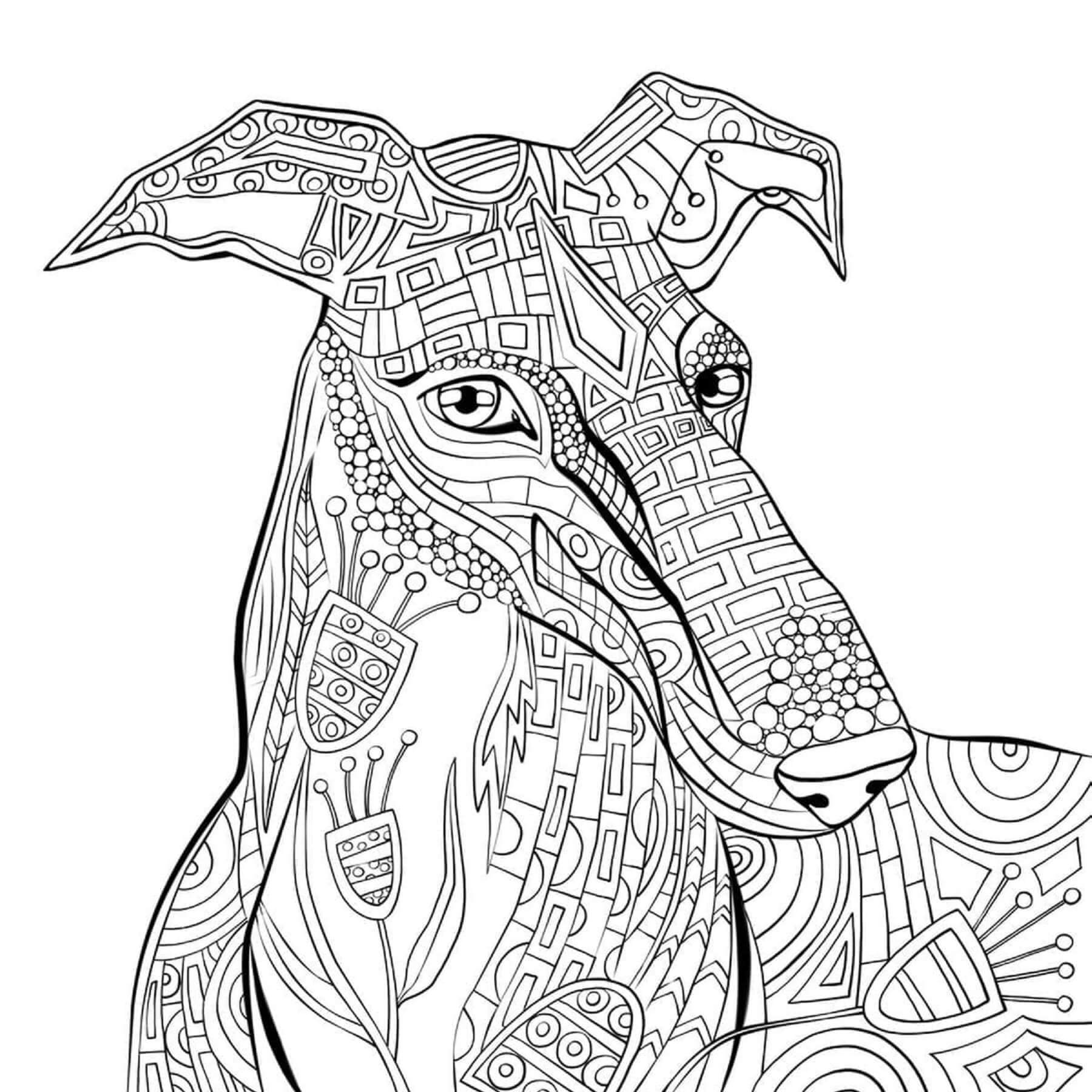 Mandala Dog Coloring Page – Sheet 11 Mandala