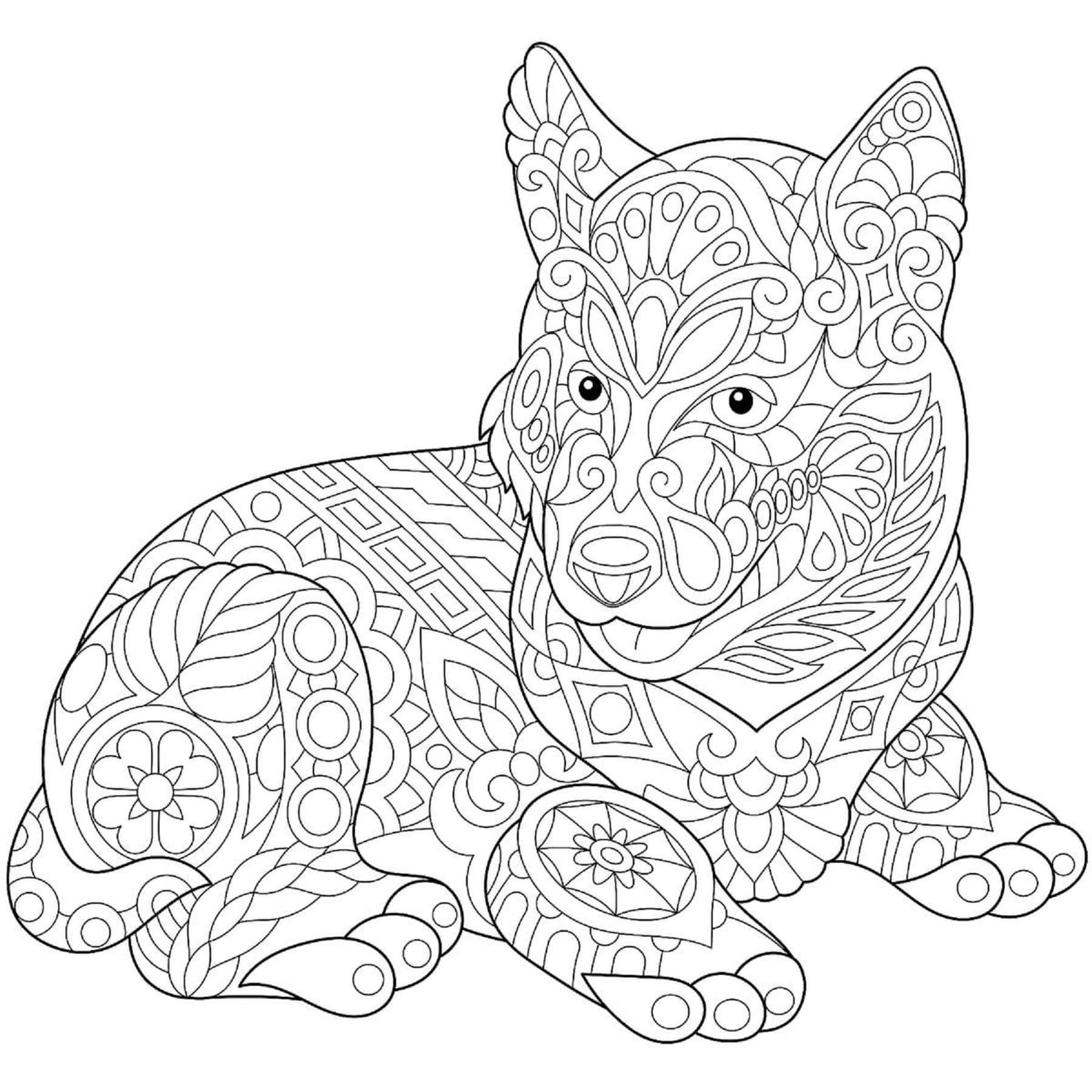 Mandala Dog Lying Coloring Page Mandala
