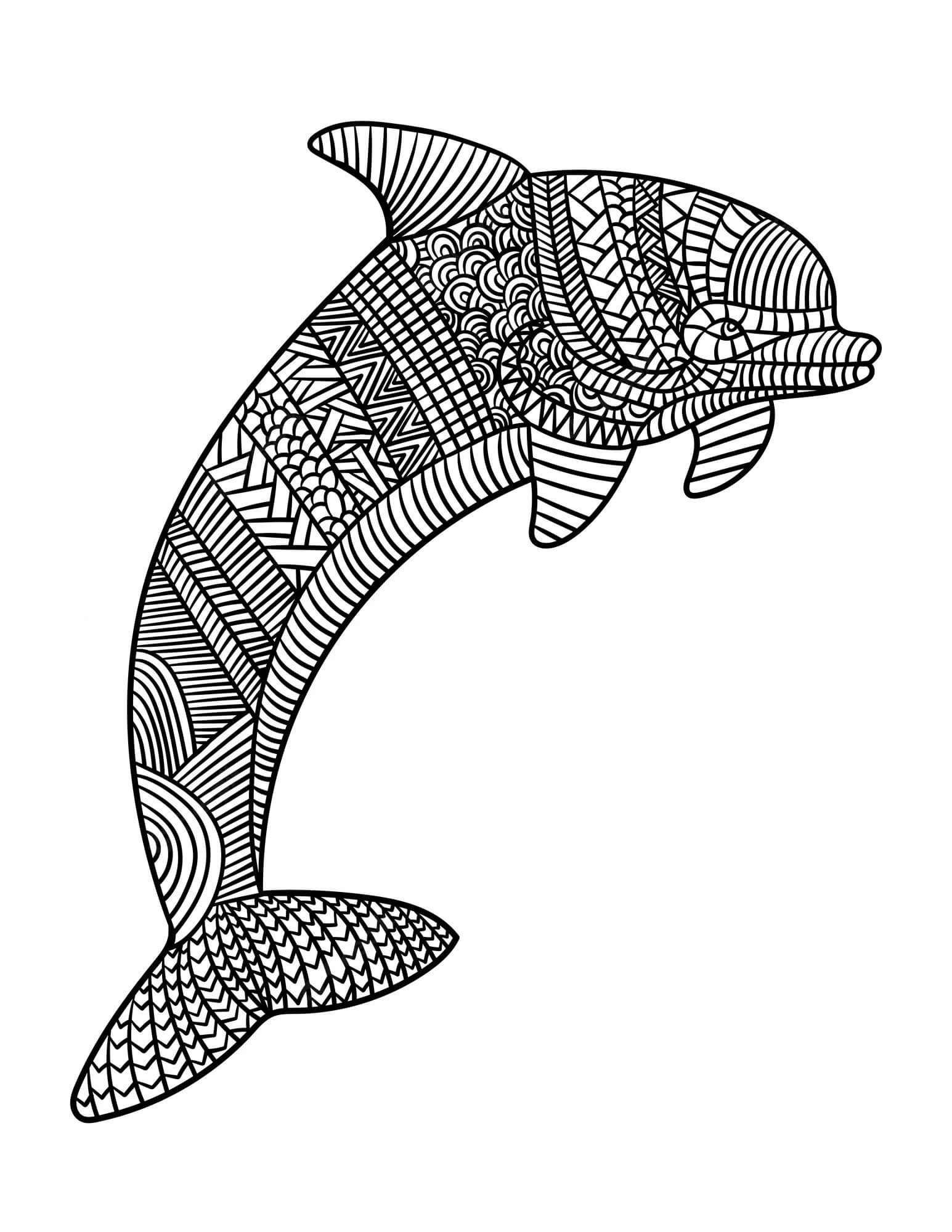 Mandala Dolphin Coloring Page - Sheet 1 Mandalas