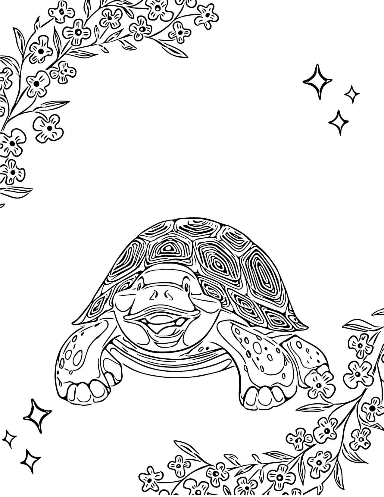 Mandala Fun Turtle Coloring Page Mandalas