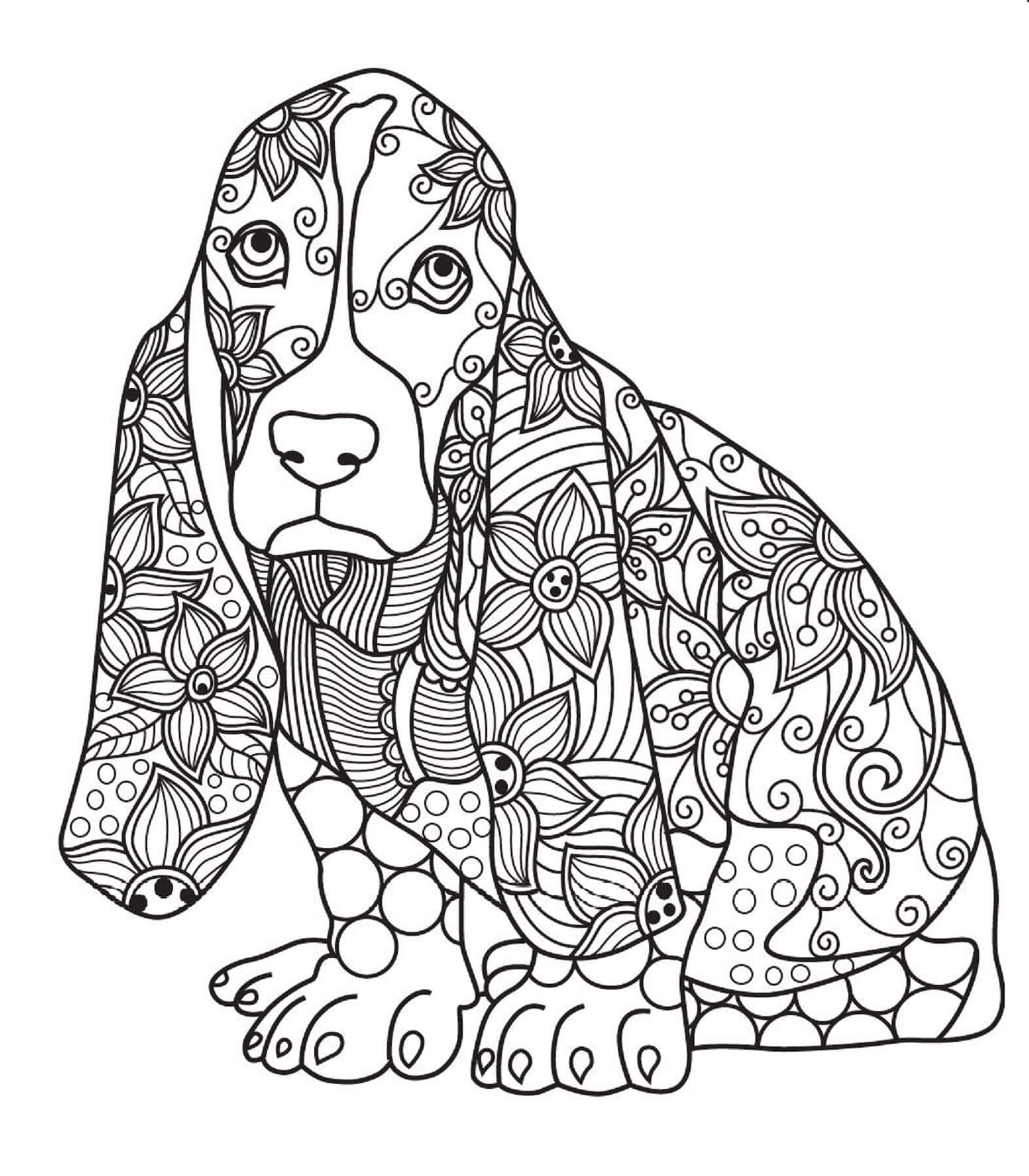 Mandala Funny Dog Coloring Page Mandala
