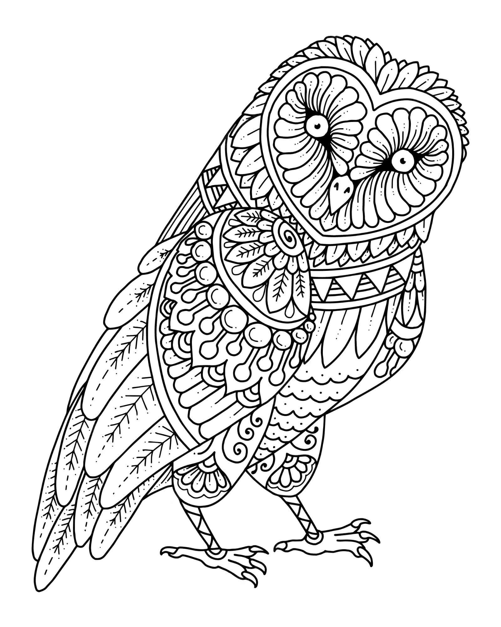 Mandala Funny Owl Coloring Page Mandalas