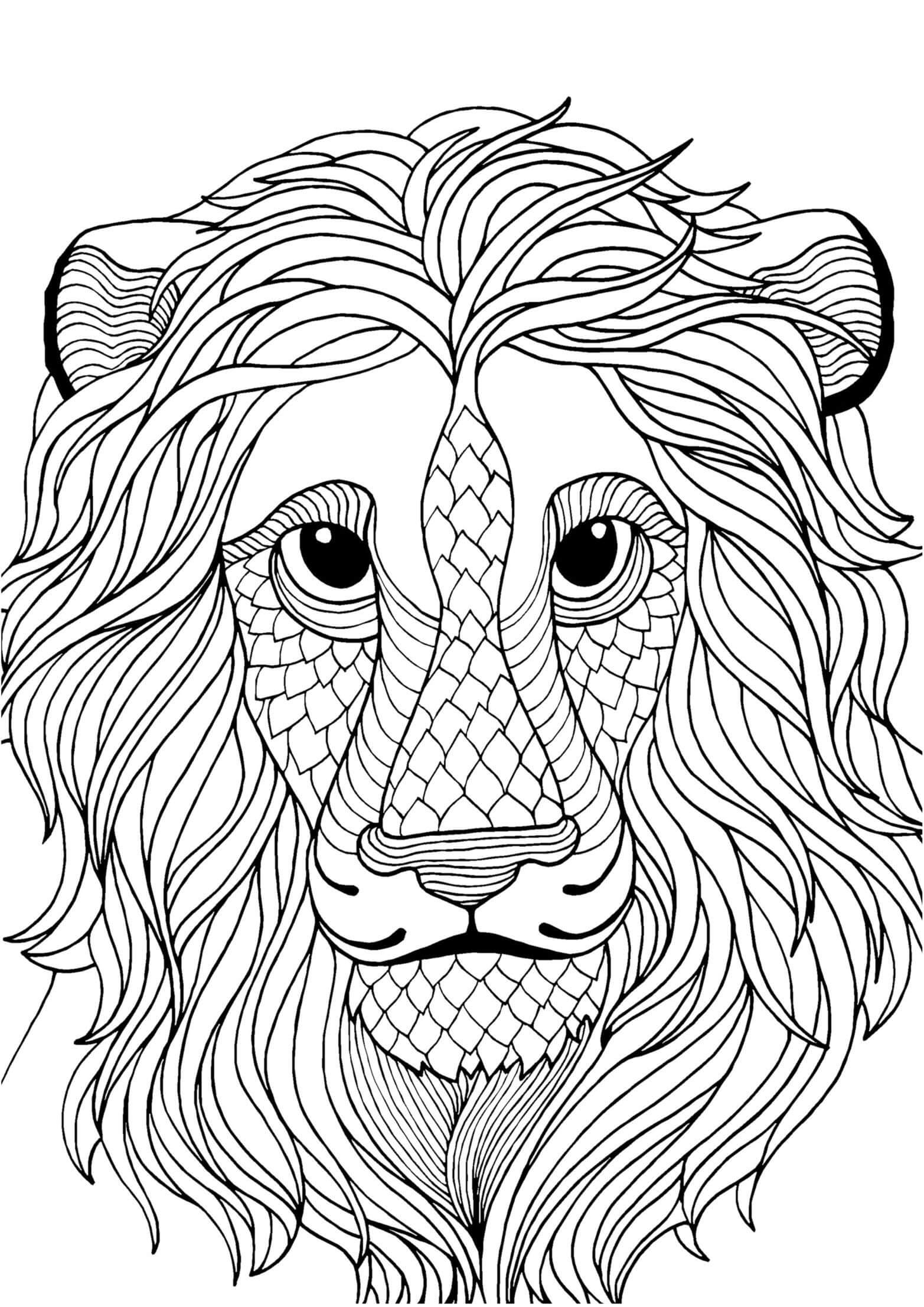 Mandala Lion Coloring Page - Sheet 10 Mandalas
