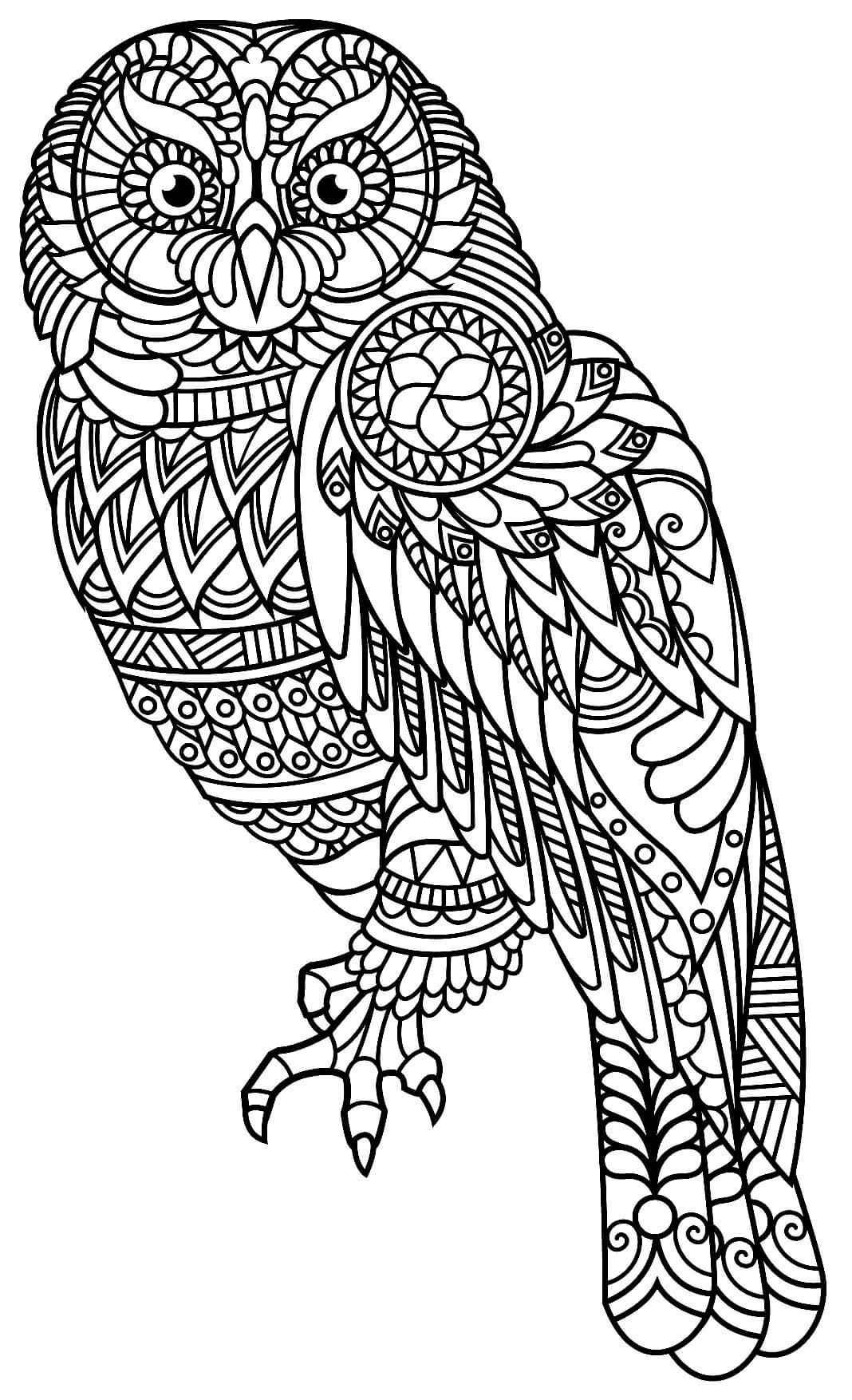 Mandala Owl Coloring Page - Sheet 5 Mandalas