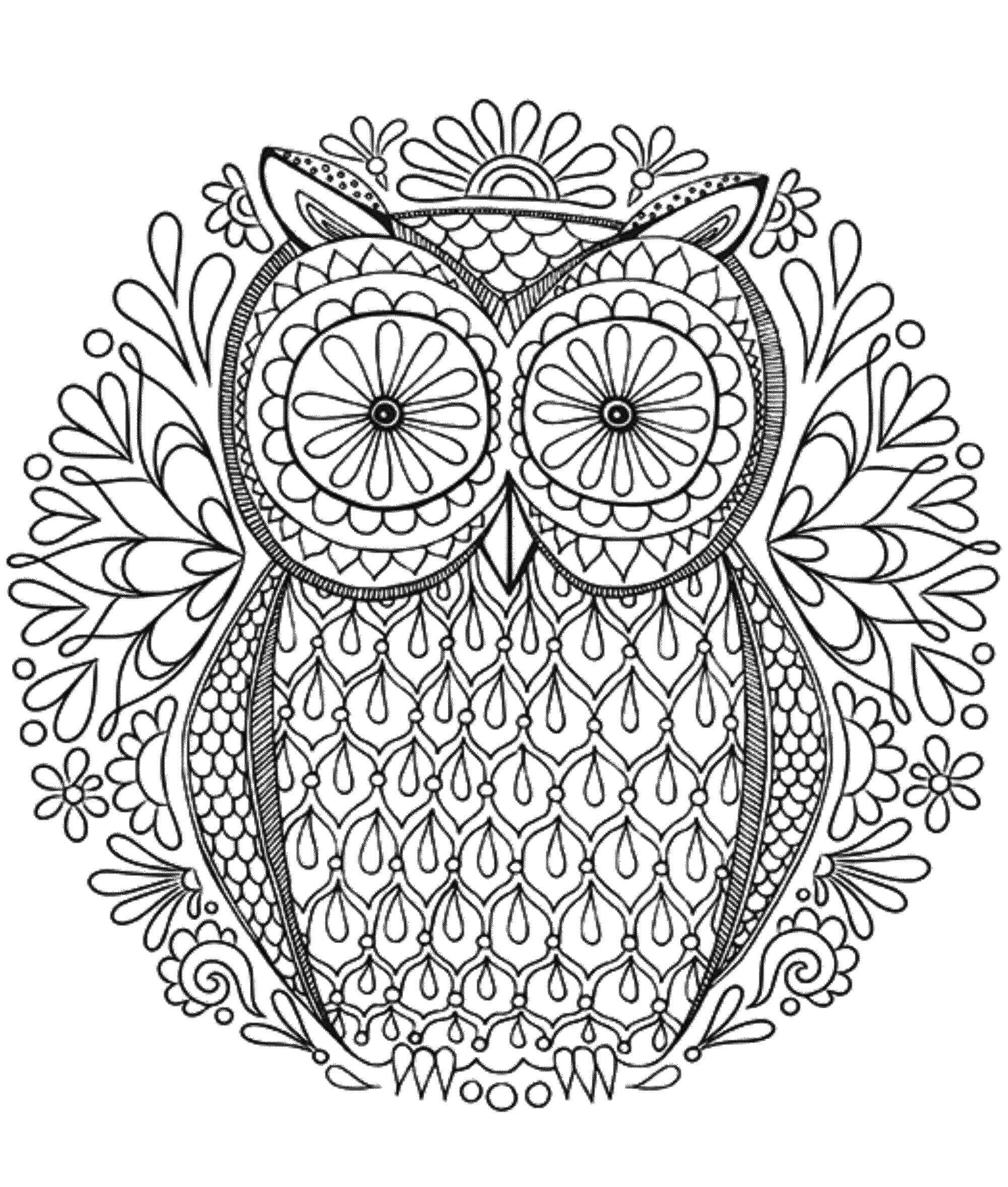 Mandala Owl With Big Eyes Coloring Page Mandalas
