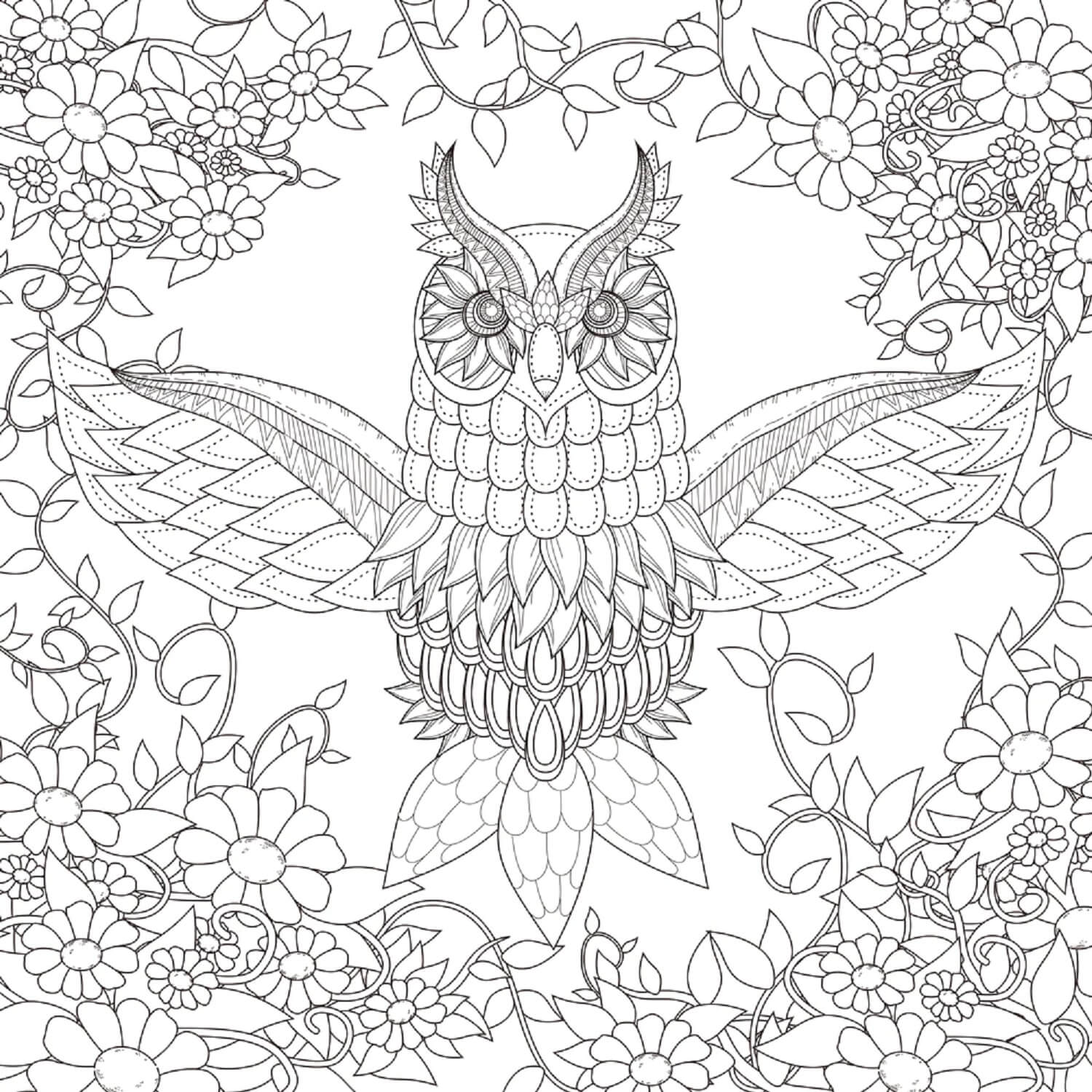 Mandala Owl With Leaves Coloring Page Mandalas