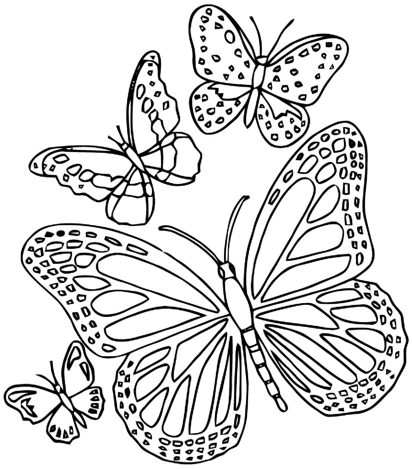 Mandala The Butterflies Coloring Page Mandalas