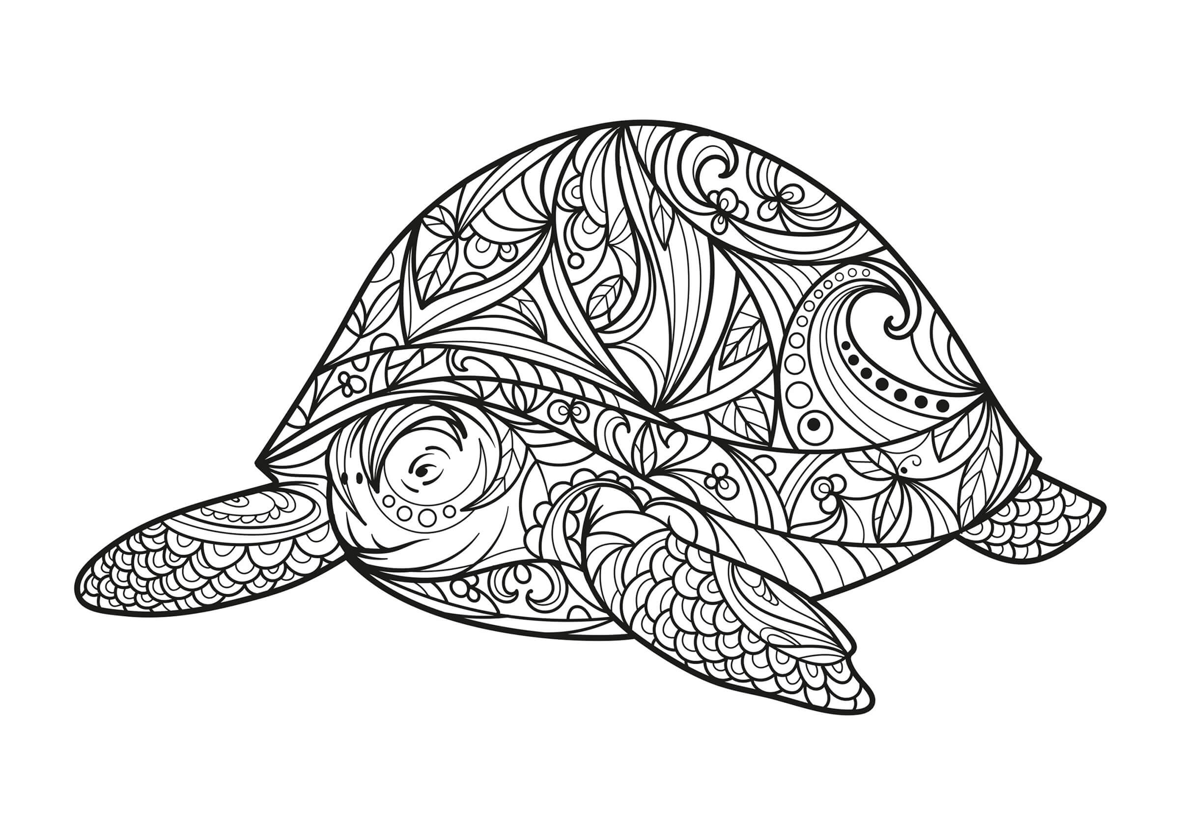 Mandala Turtle Coloring Page - Sheet 10 Mandalas