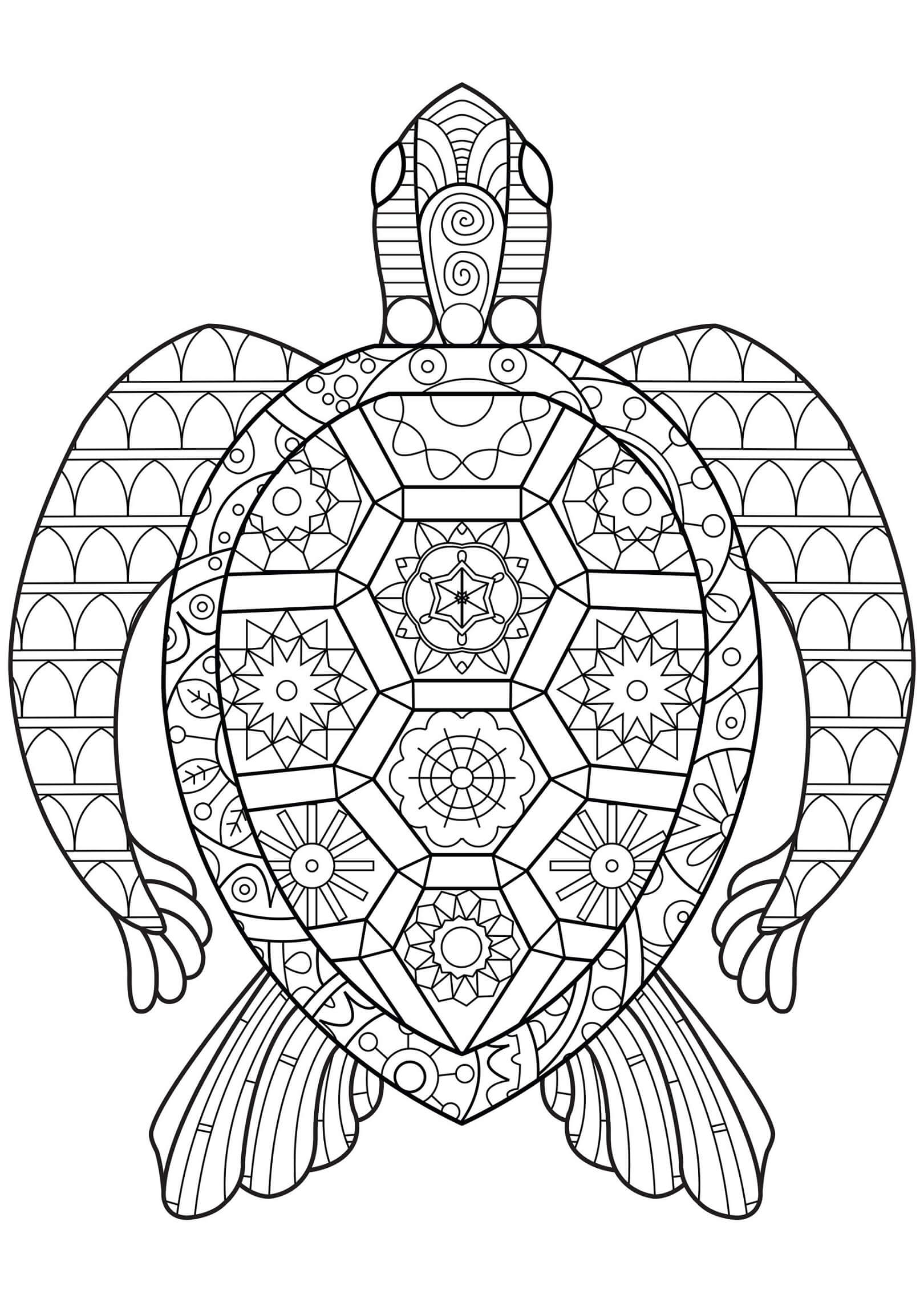 Mandala Turtle Coloring Page - Sheet 2 Mandalas