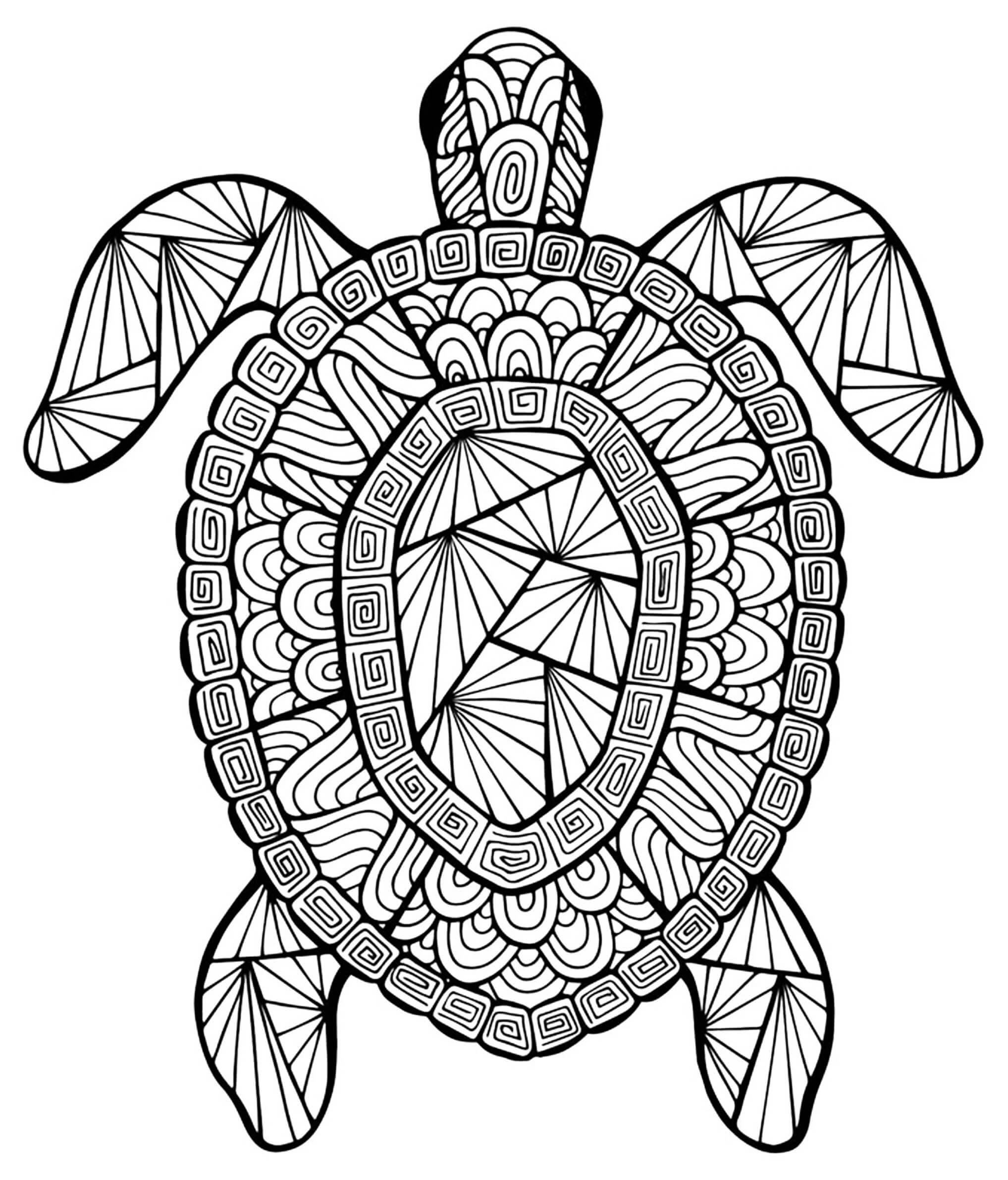 Mandala Turtle Coloring Page - Sheet 3 Mandalas