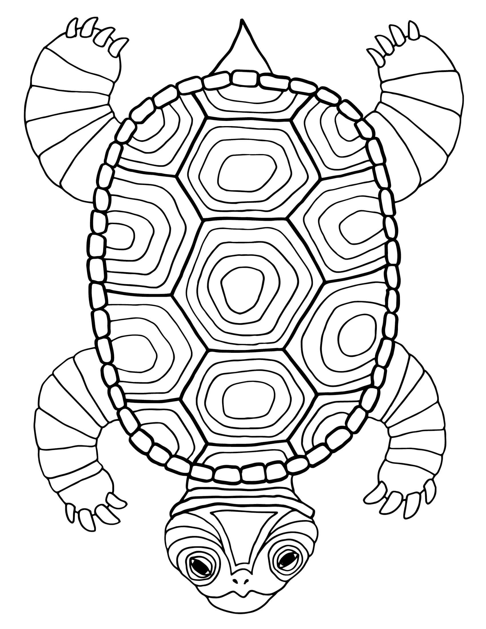 Mandala Turtle Coloring Page - Sheet 7 Mandalas