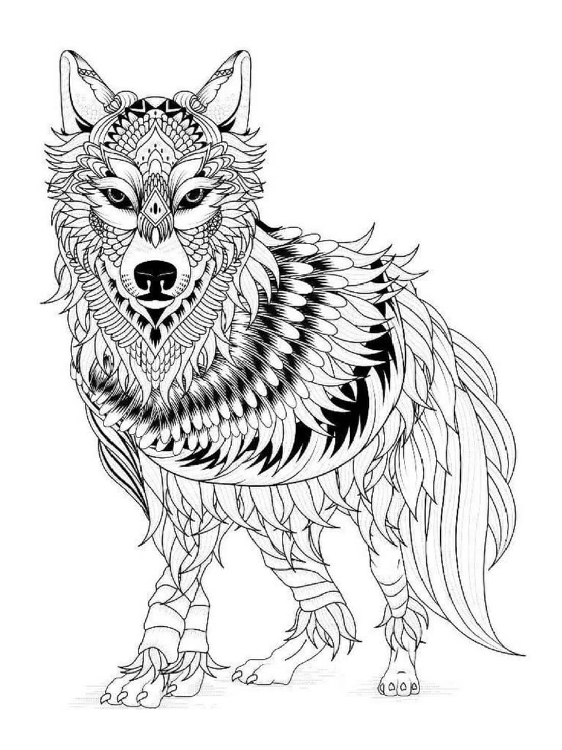 Mandala Wolf Coloring Page - Sheet 8 Mandalas