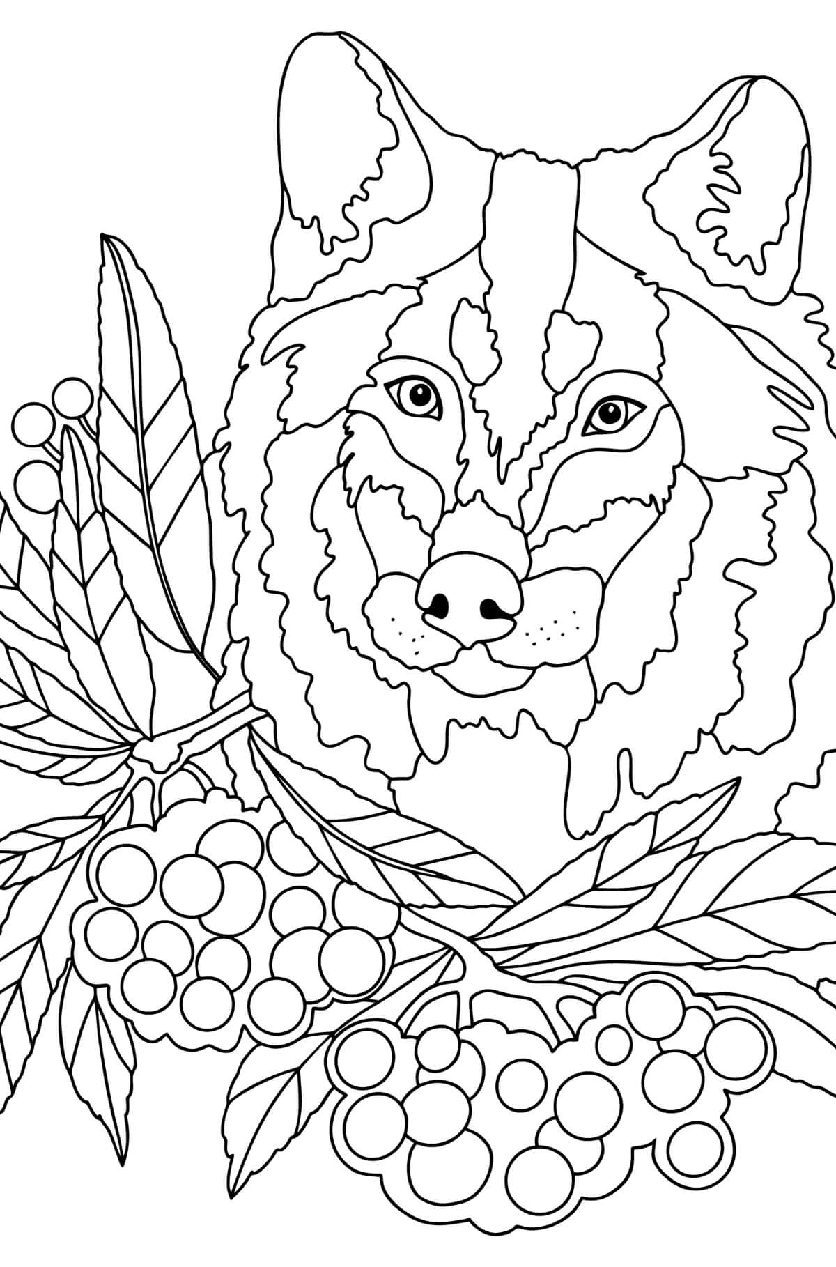 Mandala Wolf Coloring Page – Sheet 9 Mandala