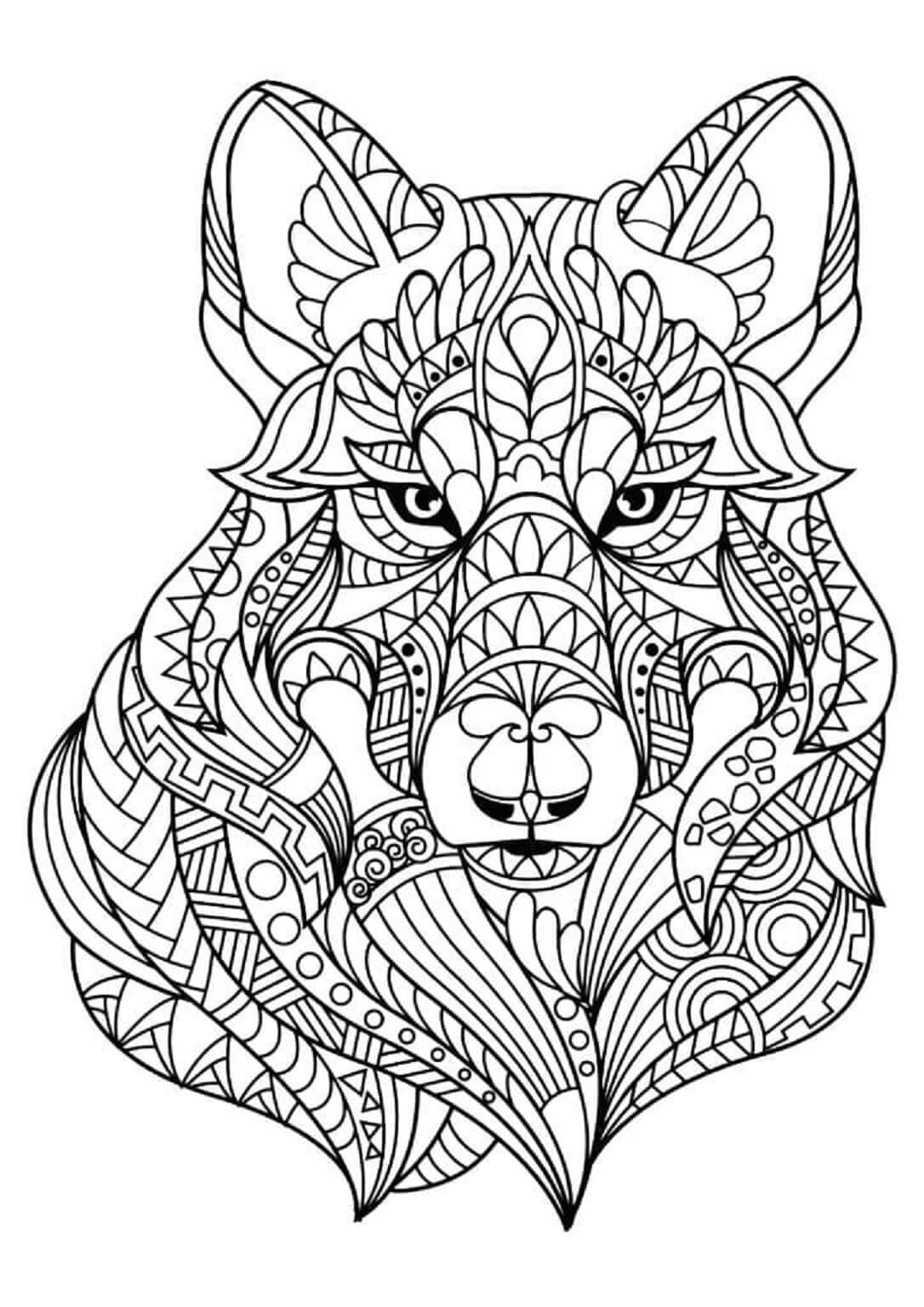 Mandala Wolf Face Coloring Page Mandalas