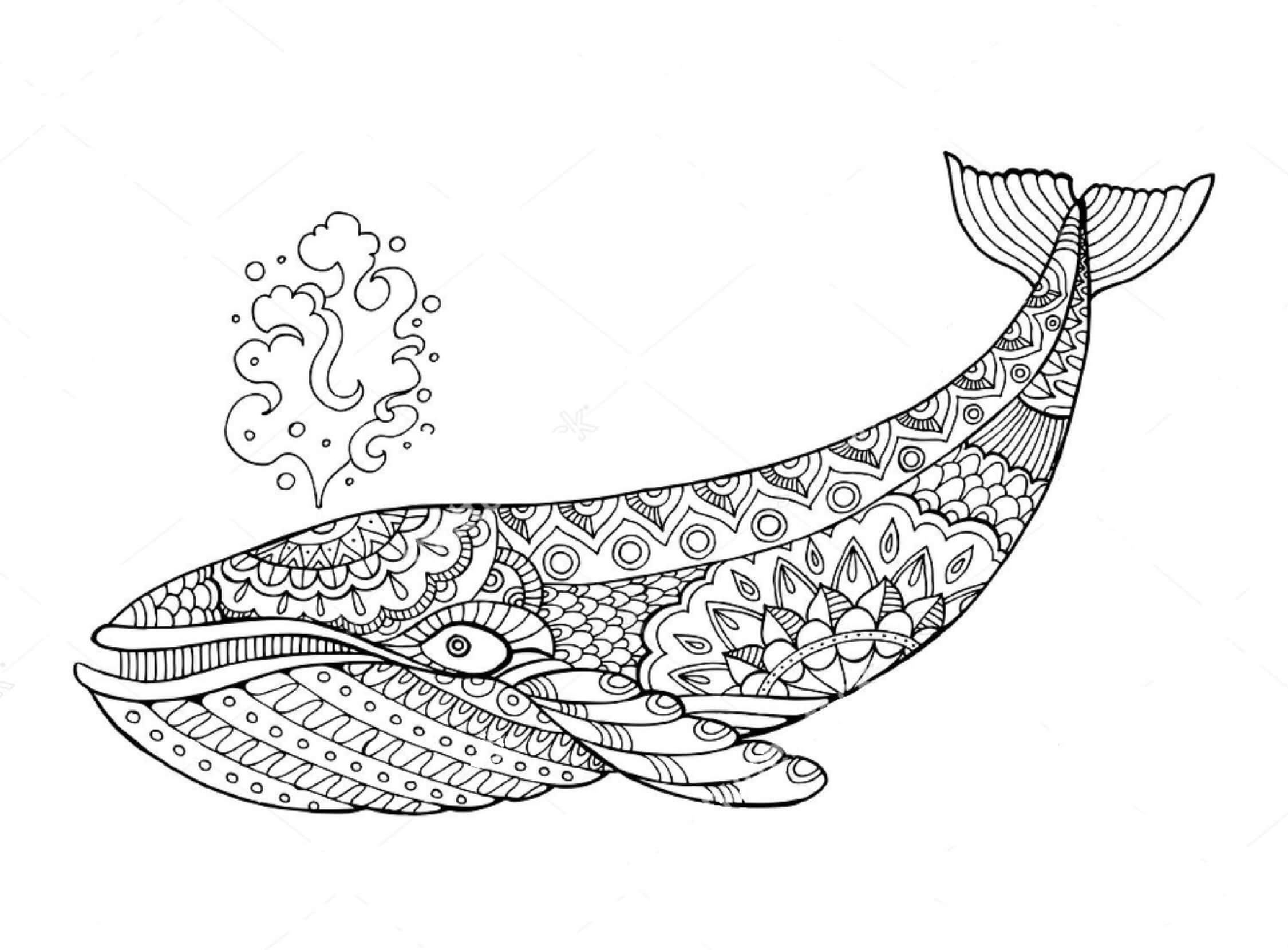 Mandala Basic Whale Coloring Page Mandalas