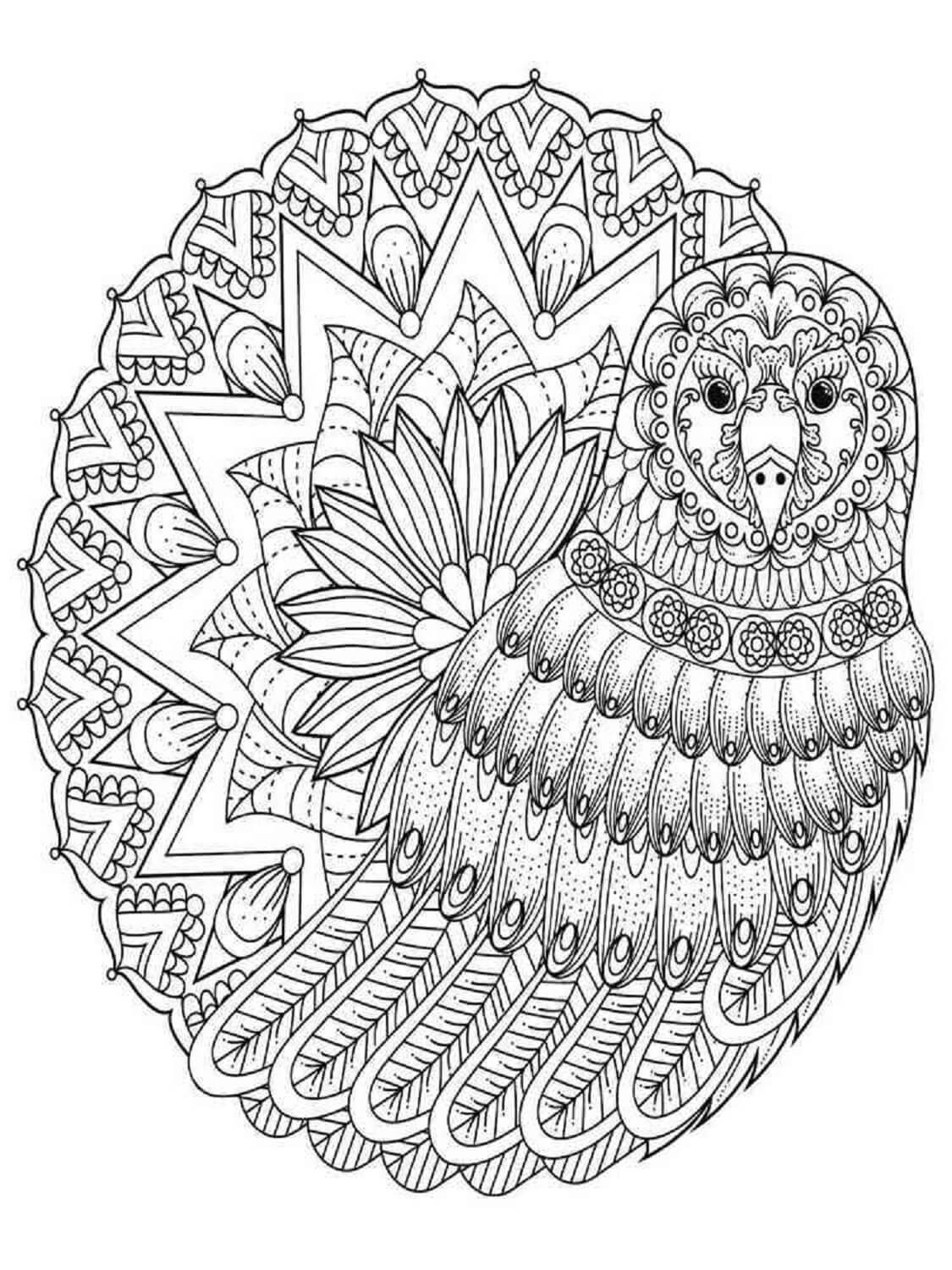 Mandala Bird Coloring Page - Sheet 6 Mandalas