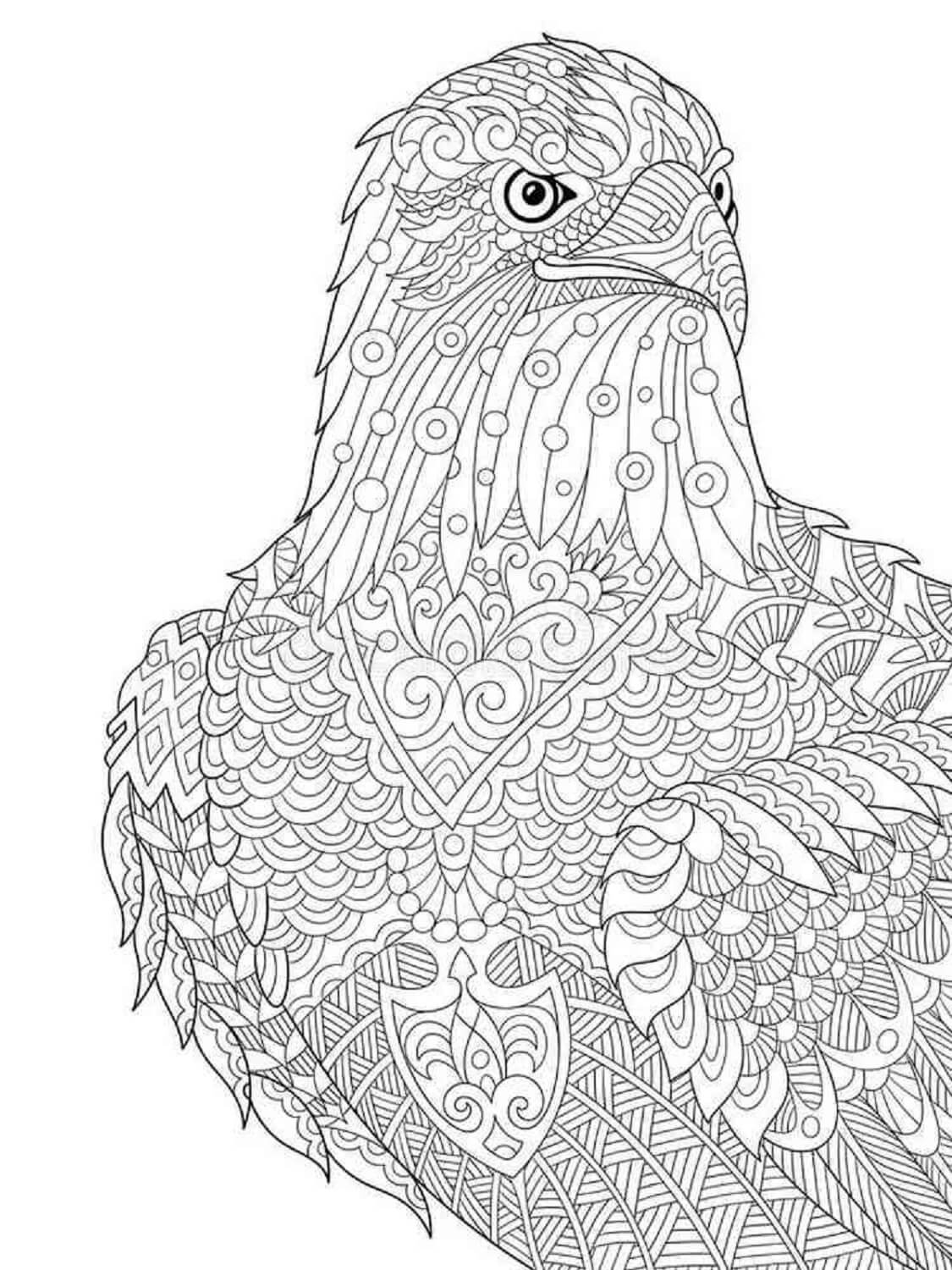 Mandala Bird Face Coloring Page Mandalas