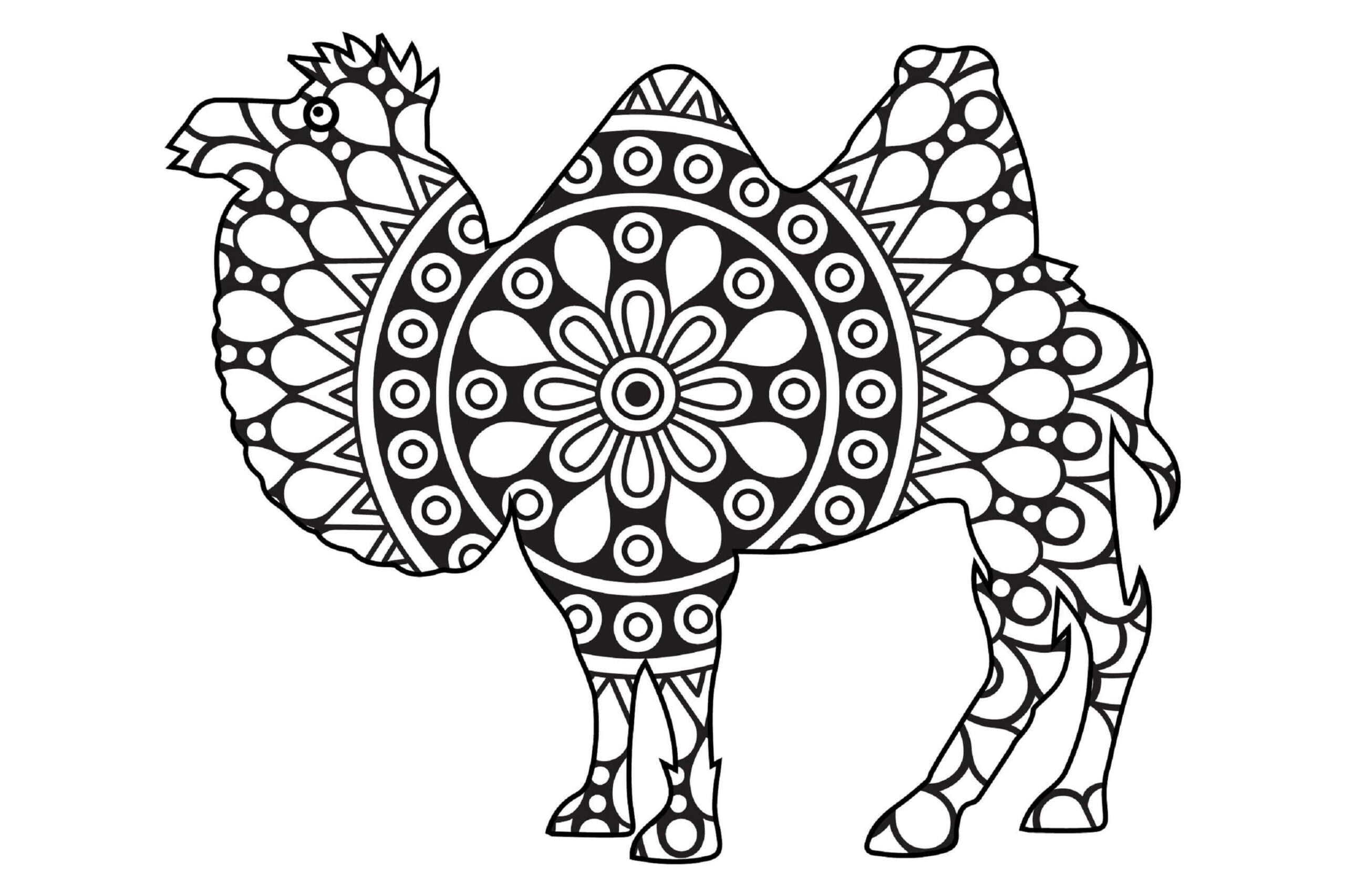 Mandala Camel Coloring Page - Sheet 1 Mandalas