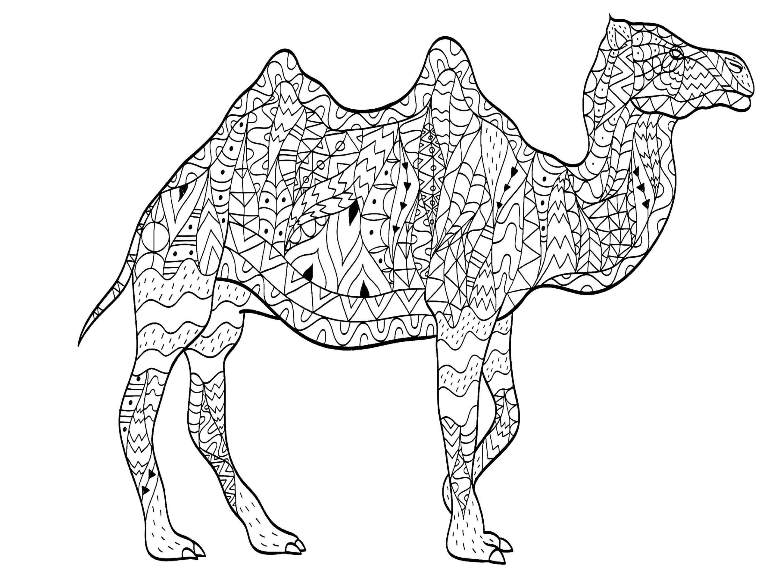 Mandala Camel Coloring Page - Sheet 2 Mandalas