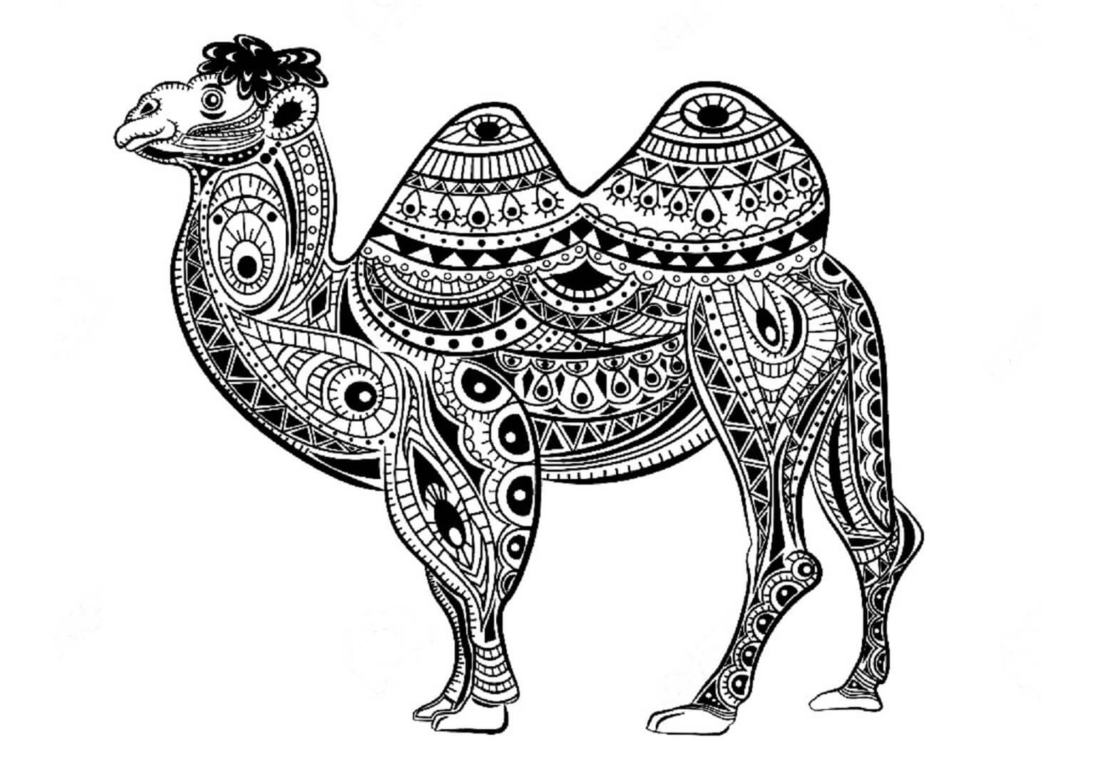 Mandala Camel Coloring Page - Sheet 3 Mandalas