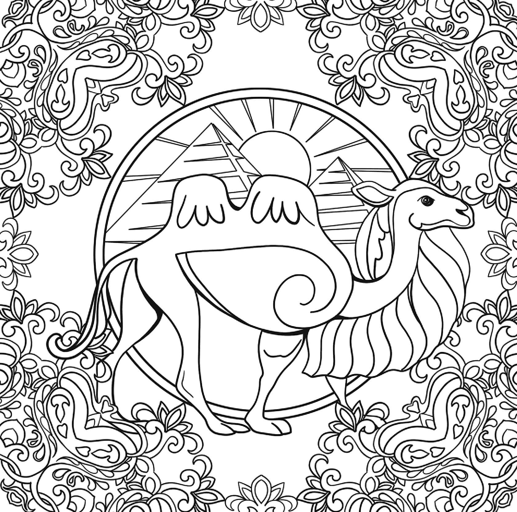 Mandala Camel Coloring Page Mandalas