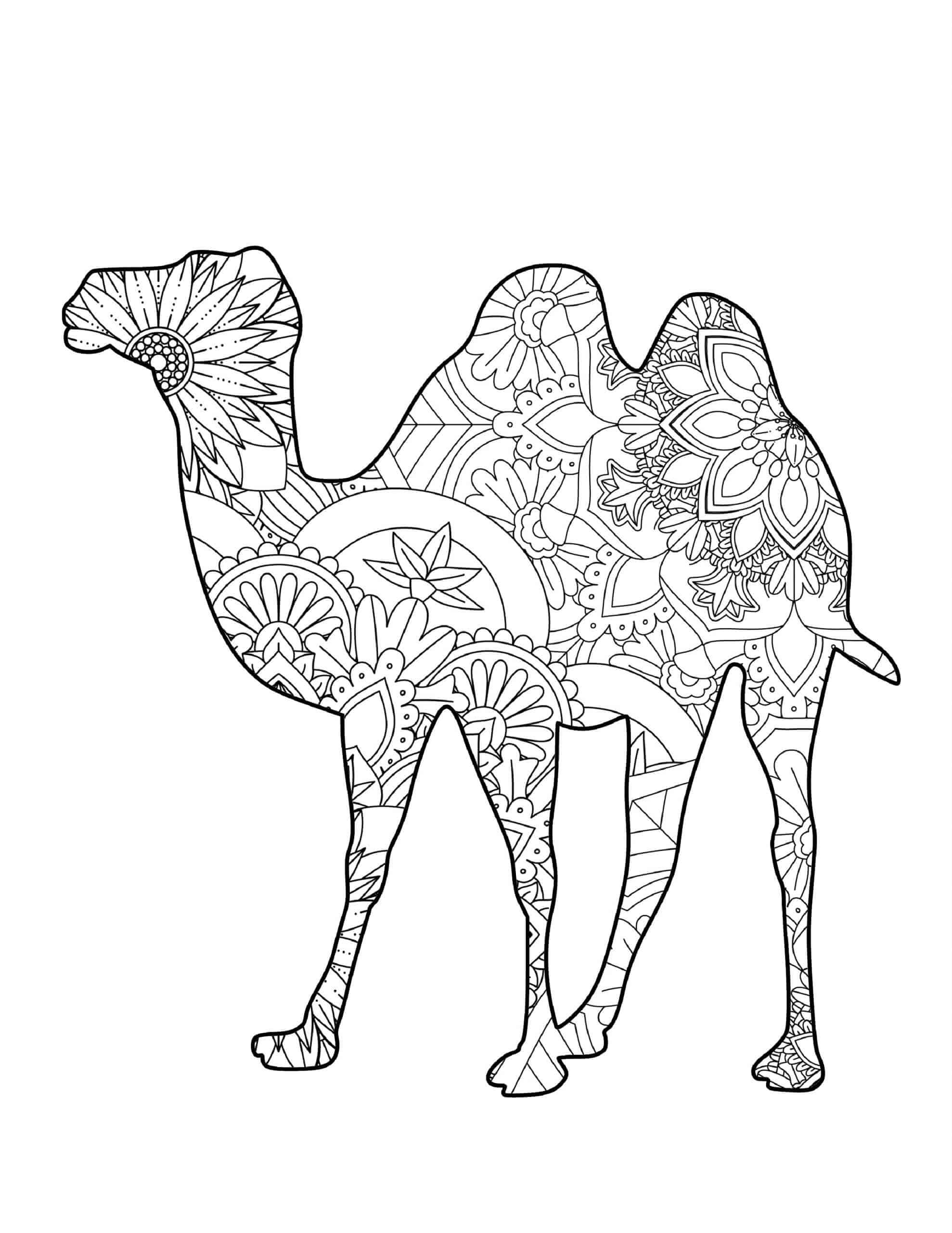 Mandala Camel With Flowers Coloring Page Mandalas