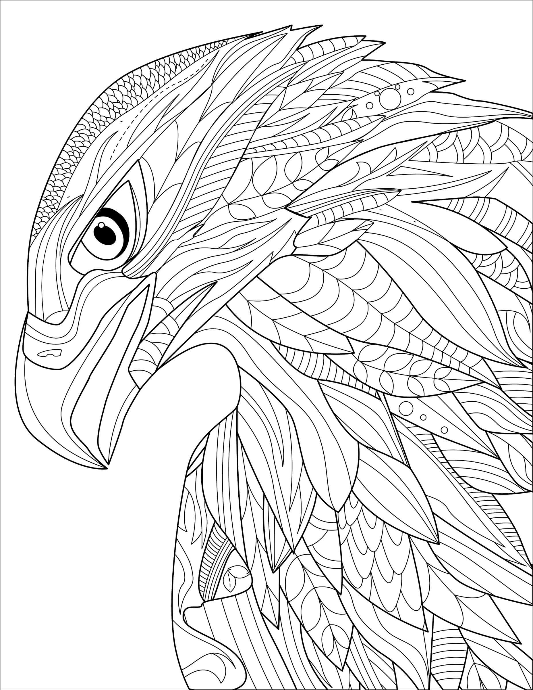 Mandala Eagle Head Coloring Page Mandalas
