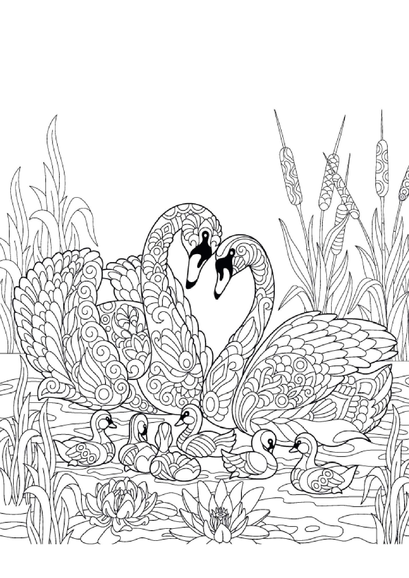 Mandala Family Swan Coloring Page Mandalas