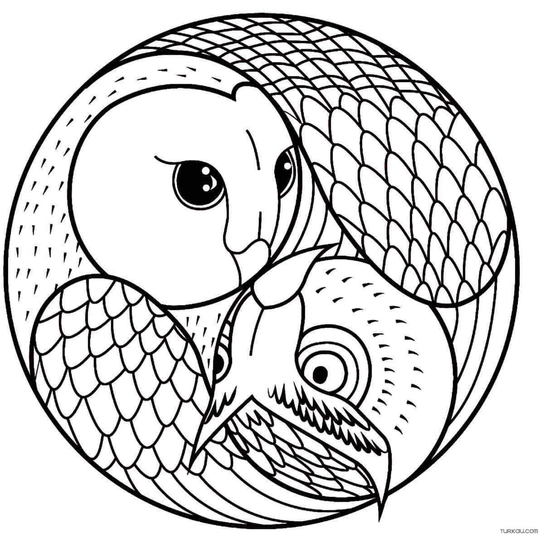 Mandala Owl Coloring Page Mandalas