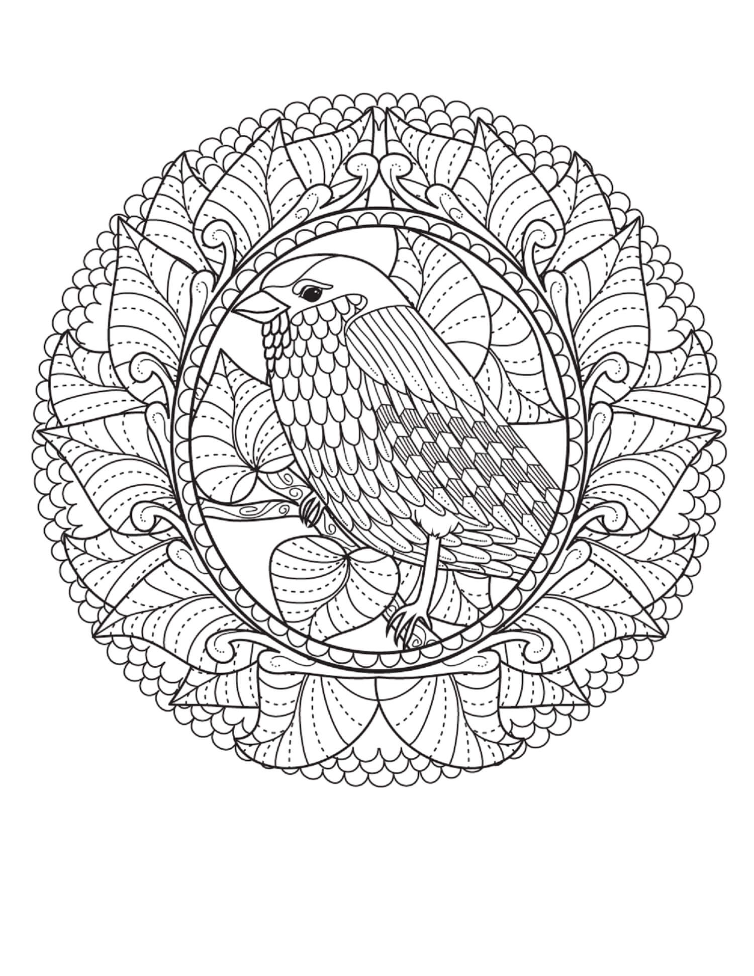 Mandala Sweet Bird Coloring Page Mandalas