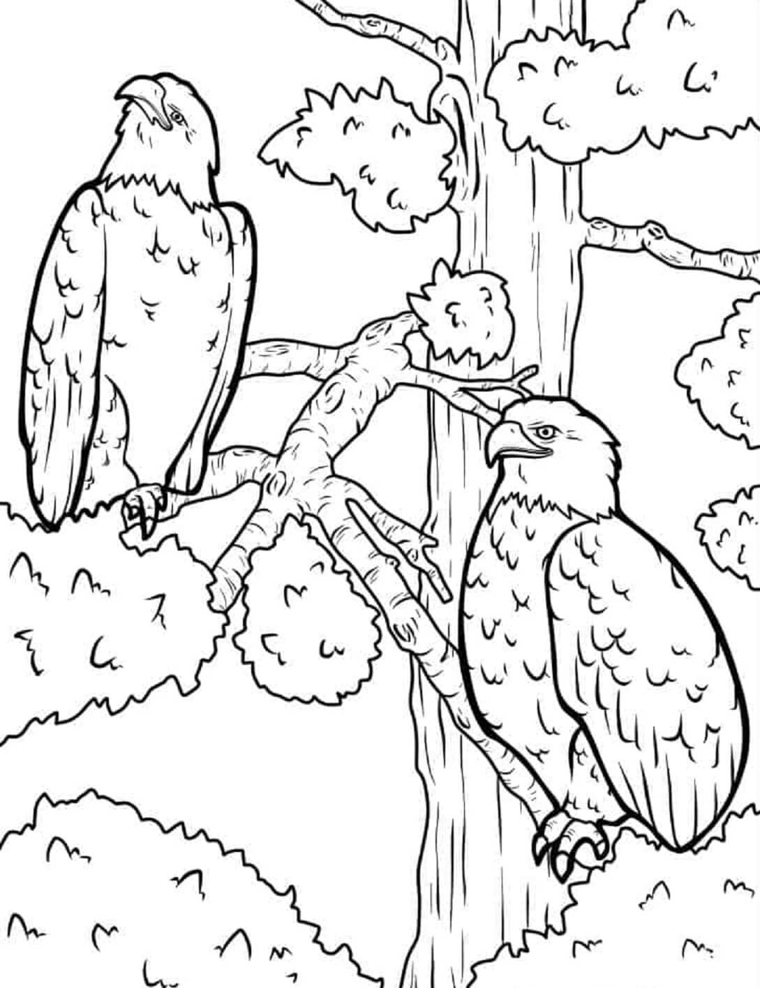 Mandala Two Eagles on Branch Tree Coloring Page Mandalas