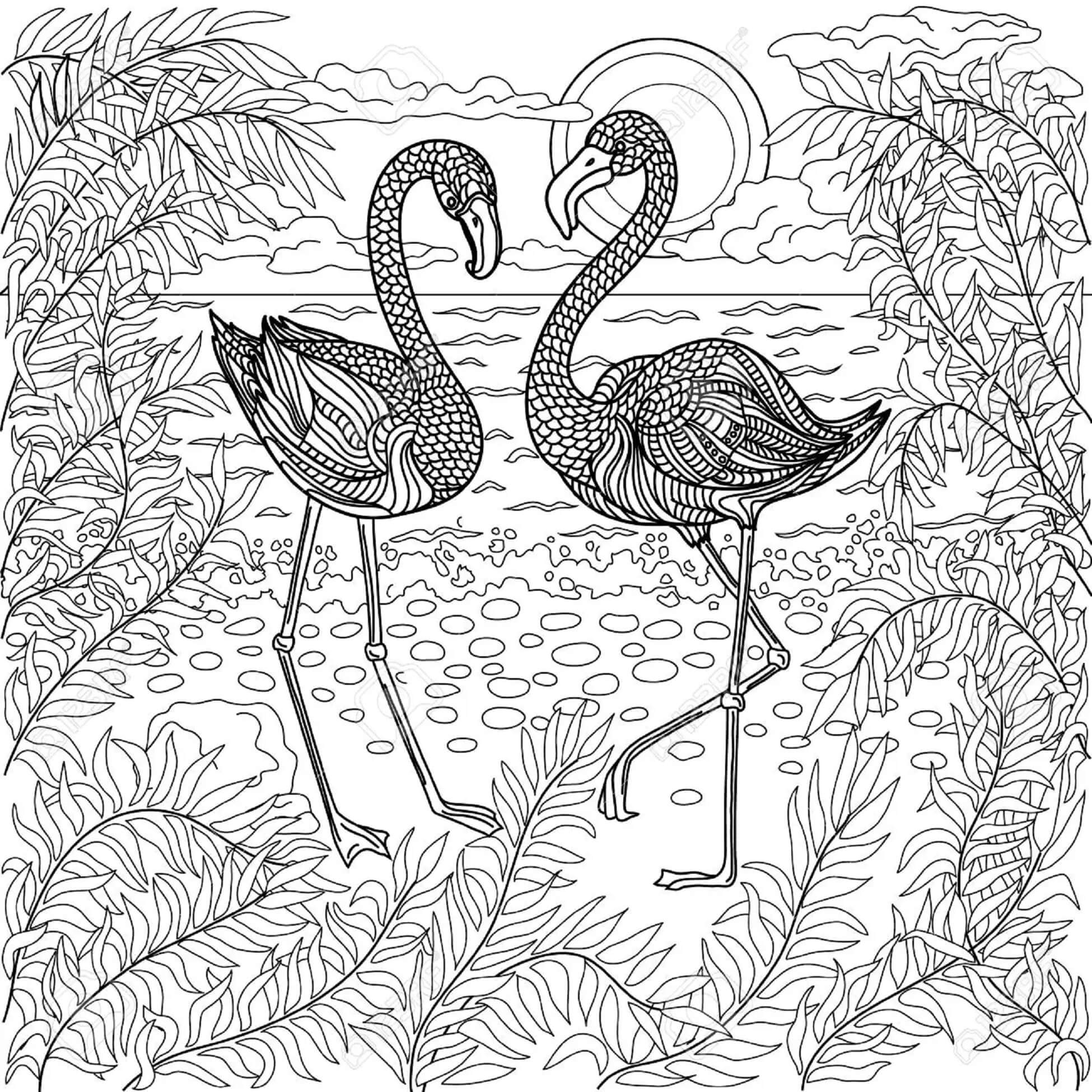 Mandala Two Flamingos On The Beach Coloring Page Mandalas