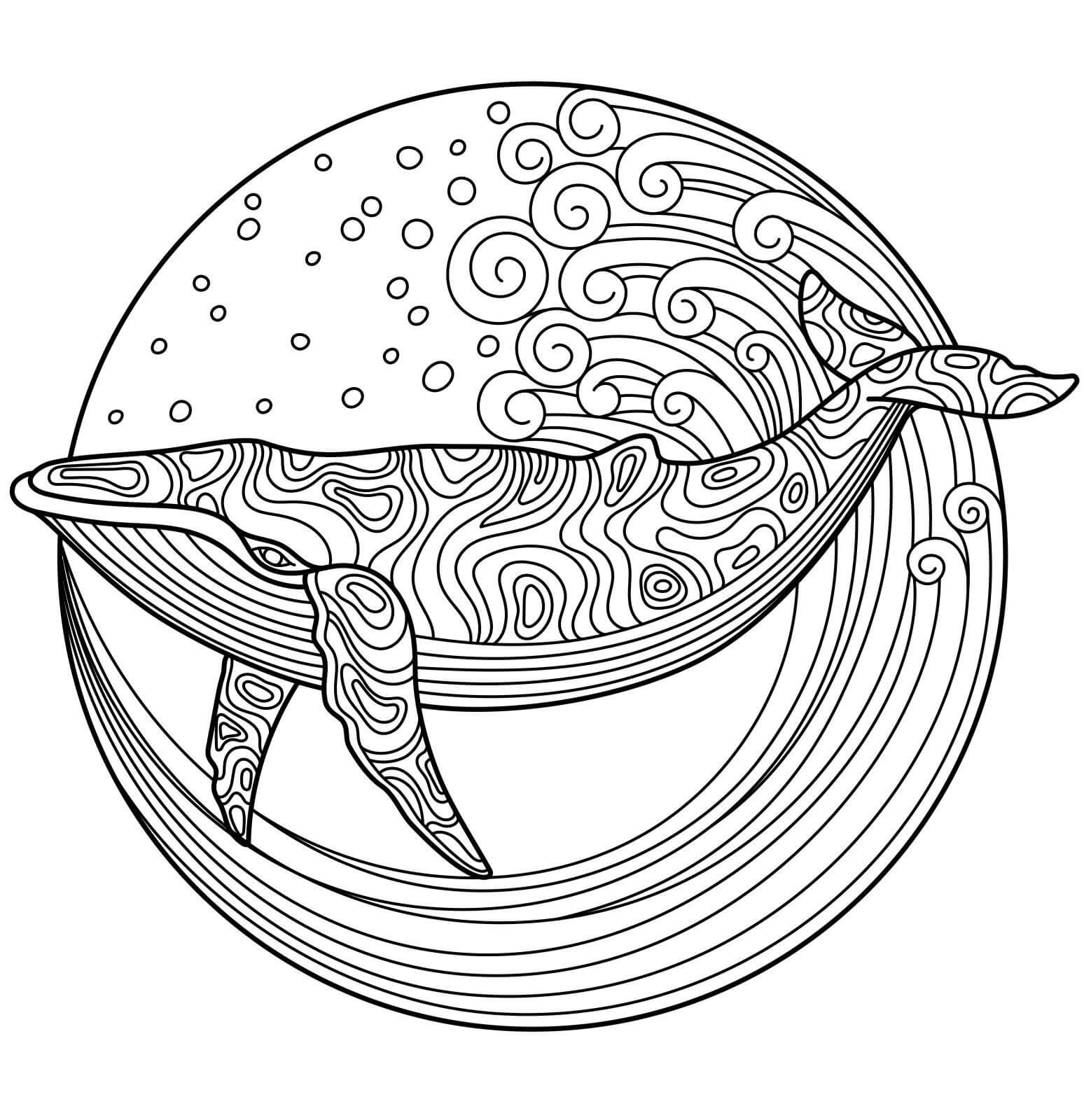 Mandala Whale Coloring Page - Sheet 1 Mandalas