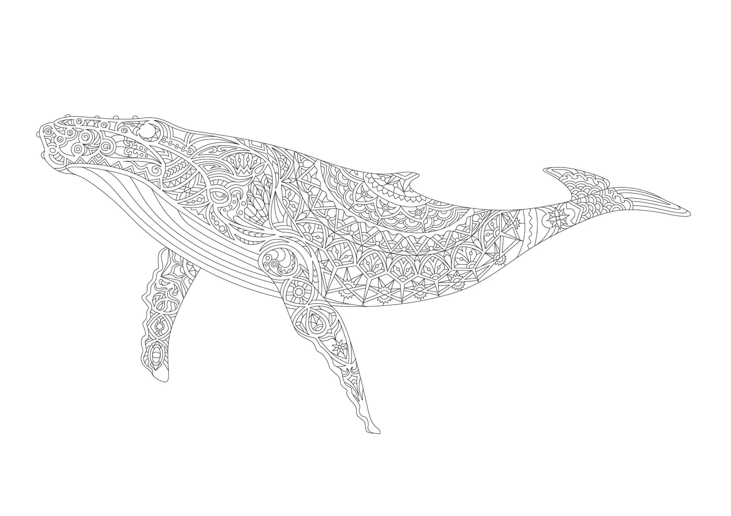 Mandala Whale Coloring Page - Sheet 3 Mandalas