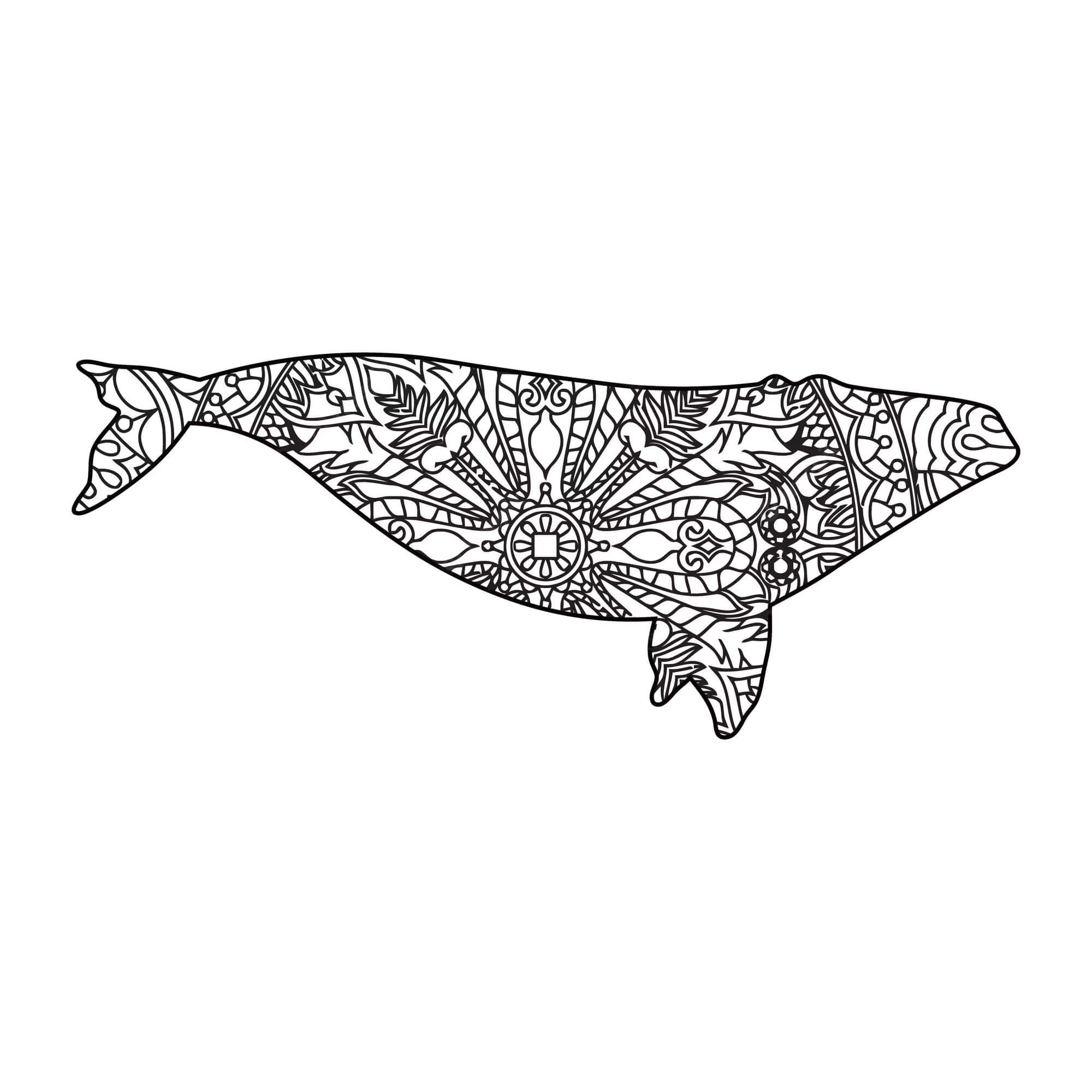 Mandala Whale Coloring Page - Sheet 8 Mandalas