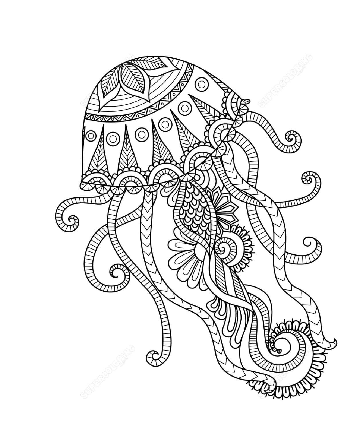 Mandala Jellyfish Coloring Page Mandalas