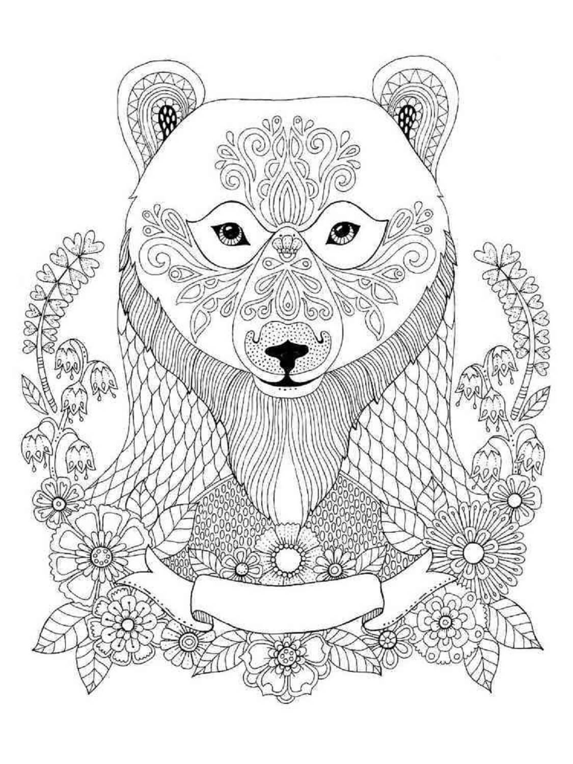Mandala Portrait Of Bear Coloring Page Mandalas