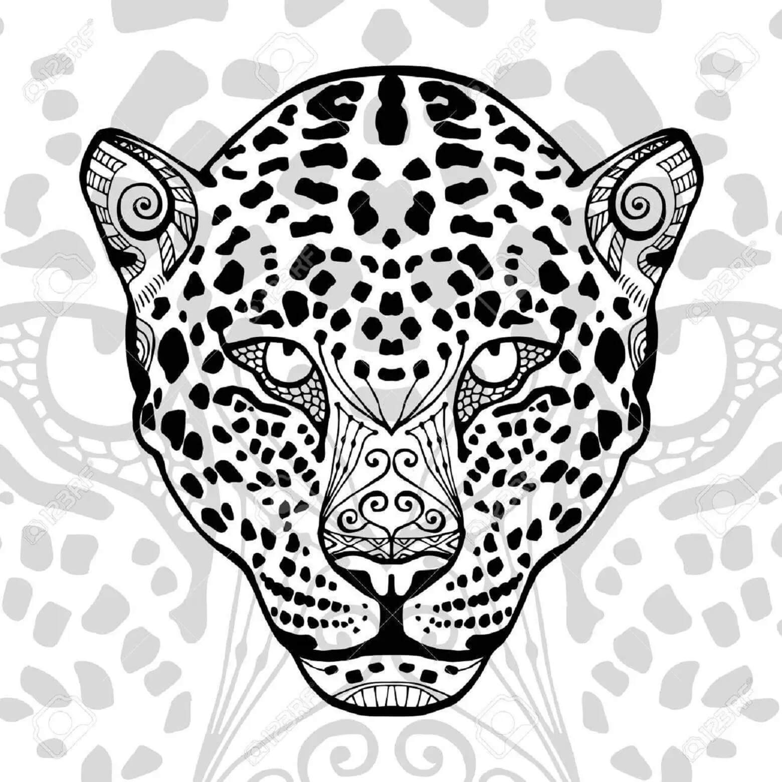 Mandala Cheetah Face Coloring Page – Sheet 1 Mandala