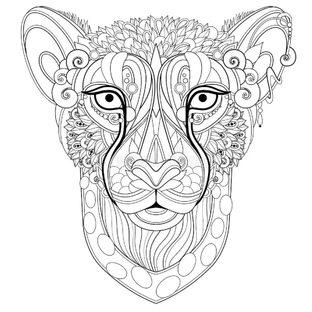 Mandala Cheetah Face Coloring Page Mandala