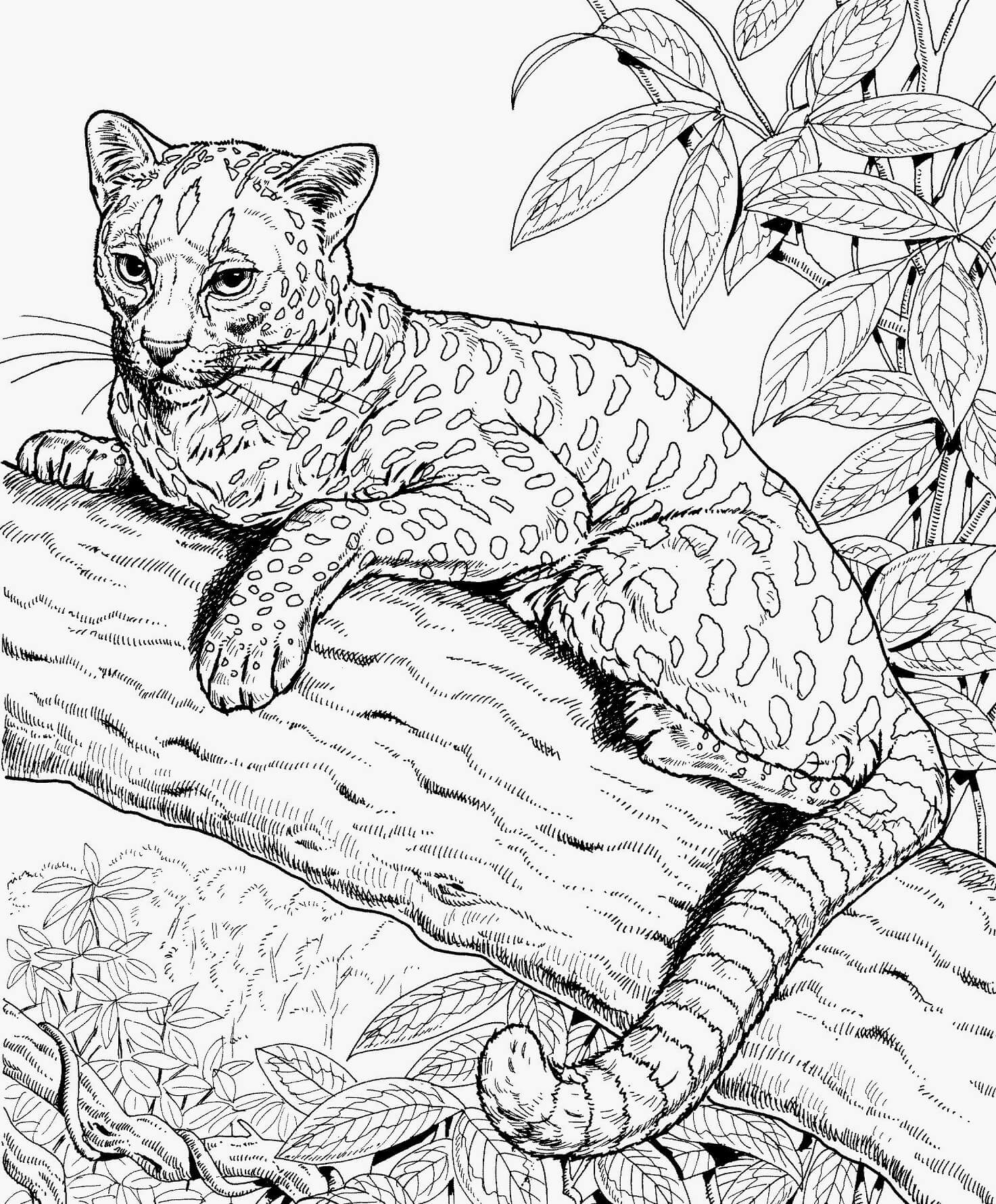 Mandala Cheetah on Branch Tree Coloring Page Mandala