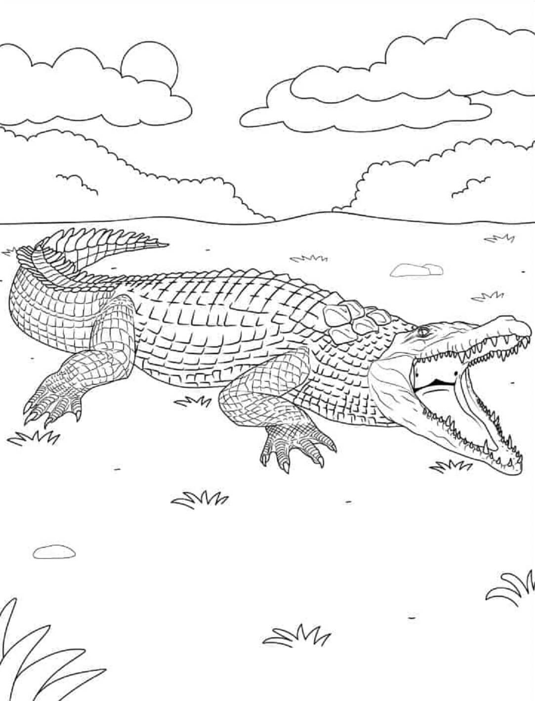 Mandala Crocodile Coloring Page – Sheet 3 Mandala
