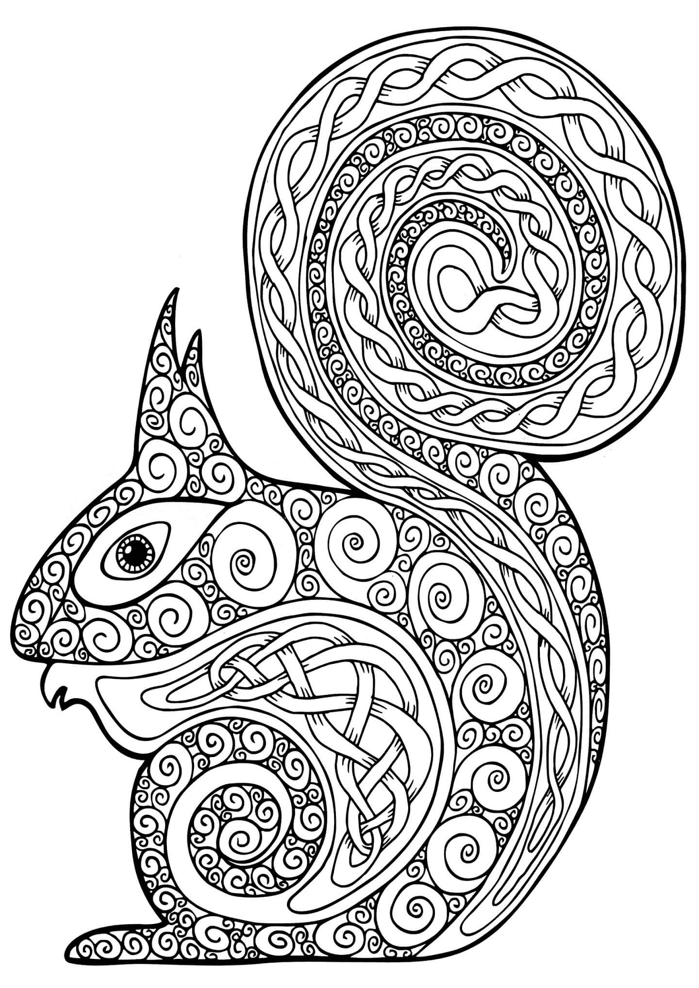 Mandala Cute Squirrel Coloring Page Mandalas