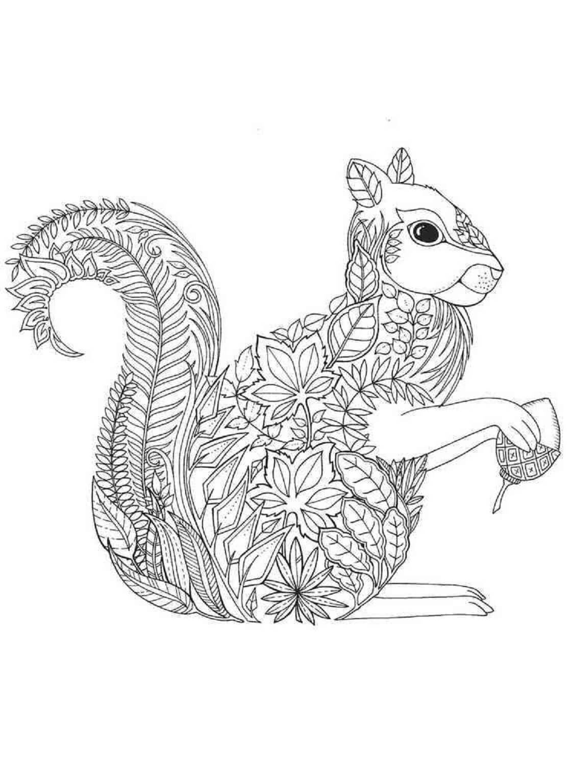 Mandala Cute Squirrel Holding Acorn Coloring Page Mandala