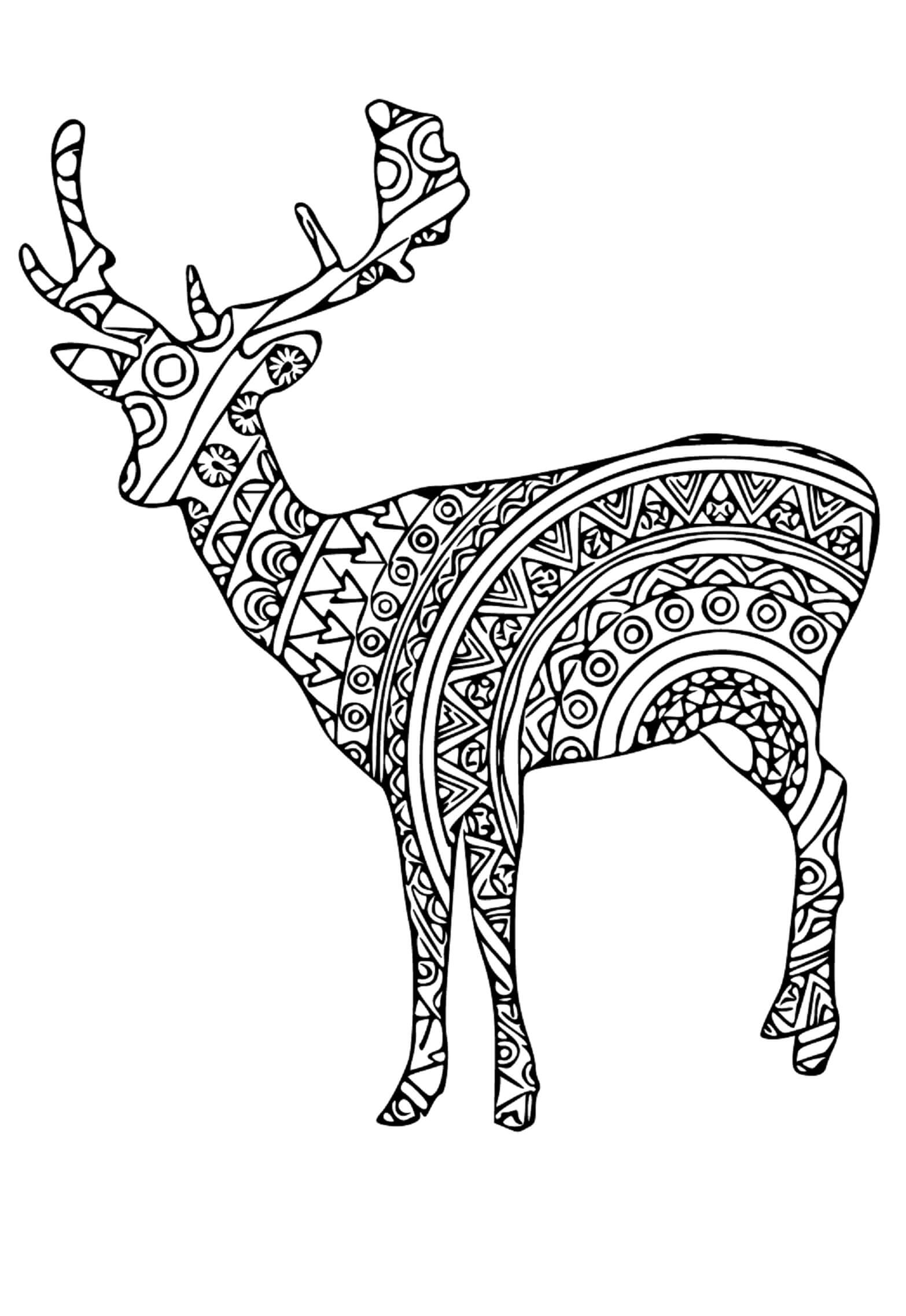 Mandala Deer Coloring Page – Sheet 5 Mandala